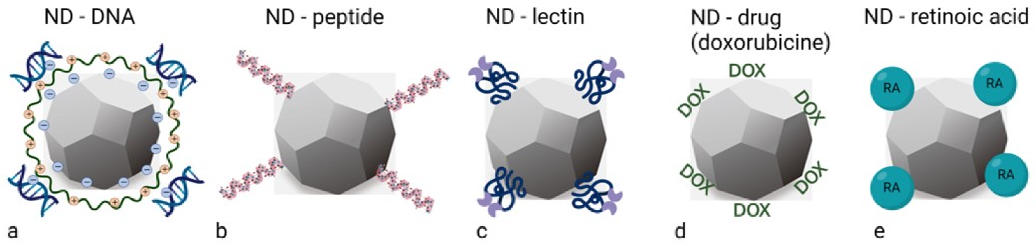 Ijms 23 08183 g002 550