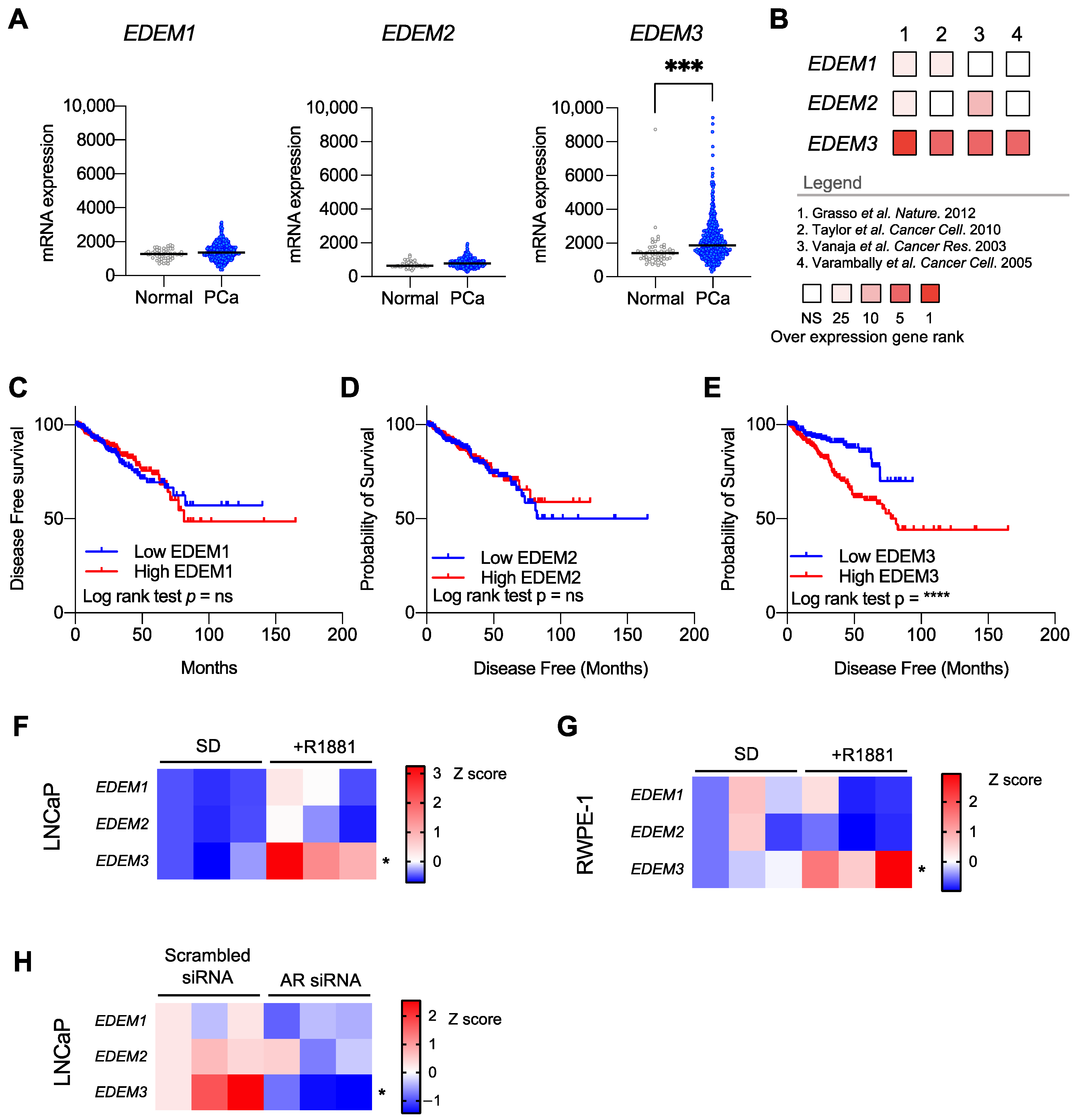 Ijms 23 08184 g001 Ijms 23 08184 g001