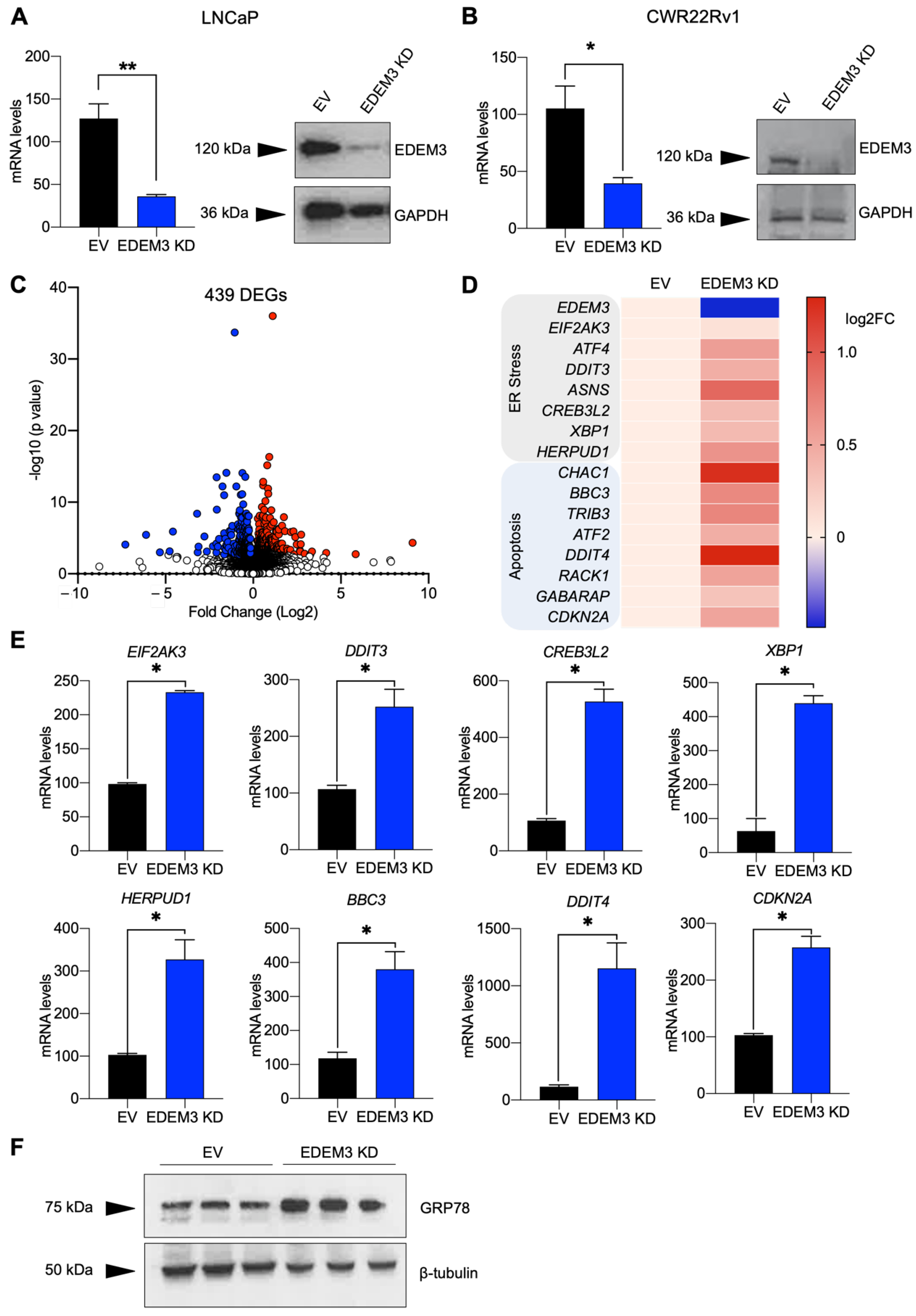 Ijms 23 08184 g002 Ijms 23 08184 g002