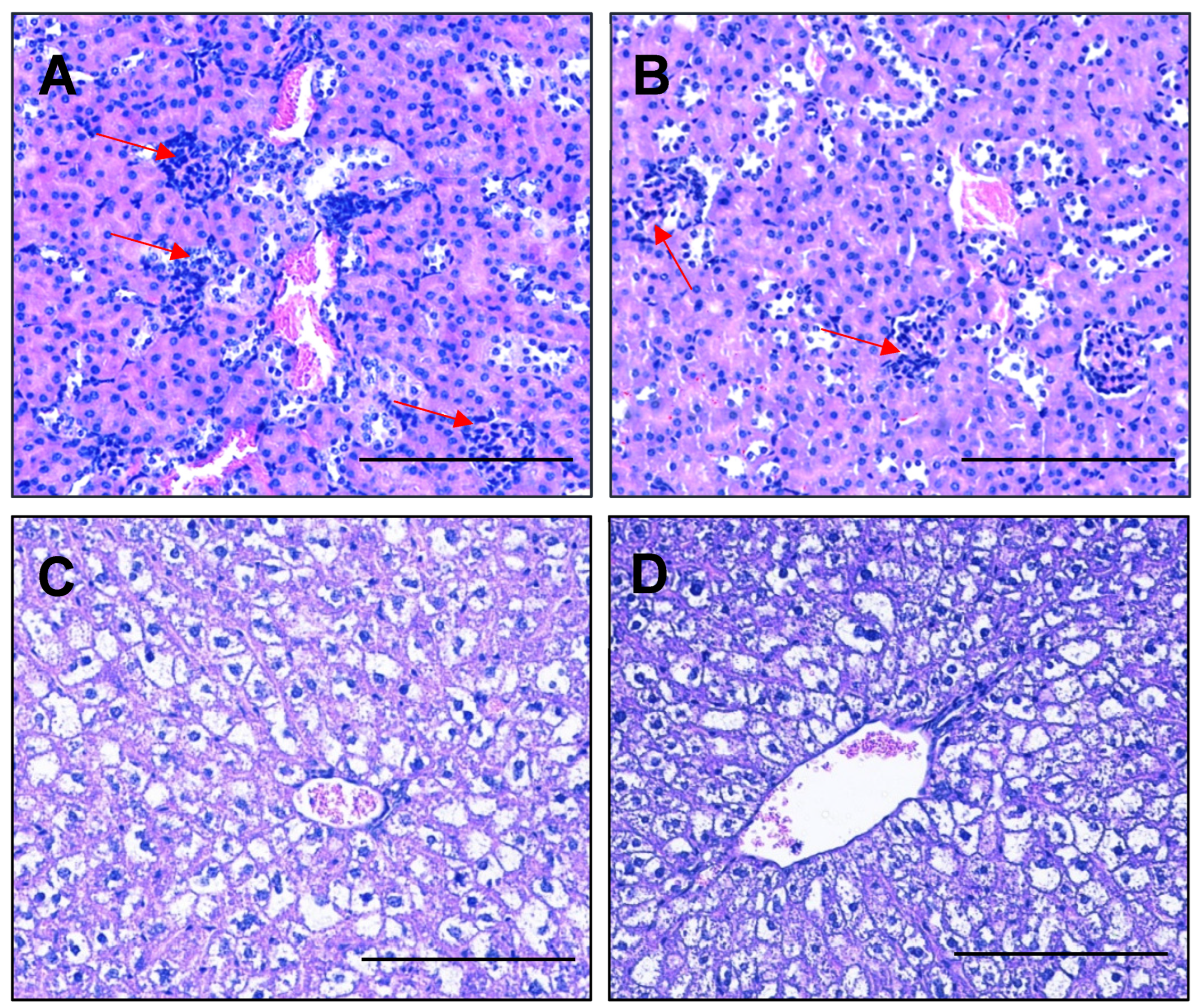 Ijms 23 08185 g010 Ijms 23 08185 g010