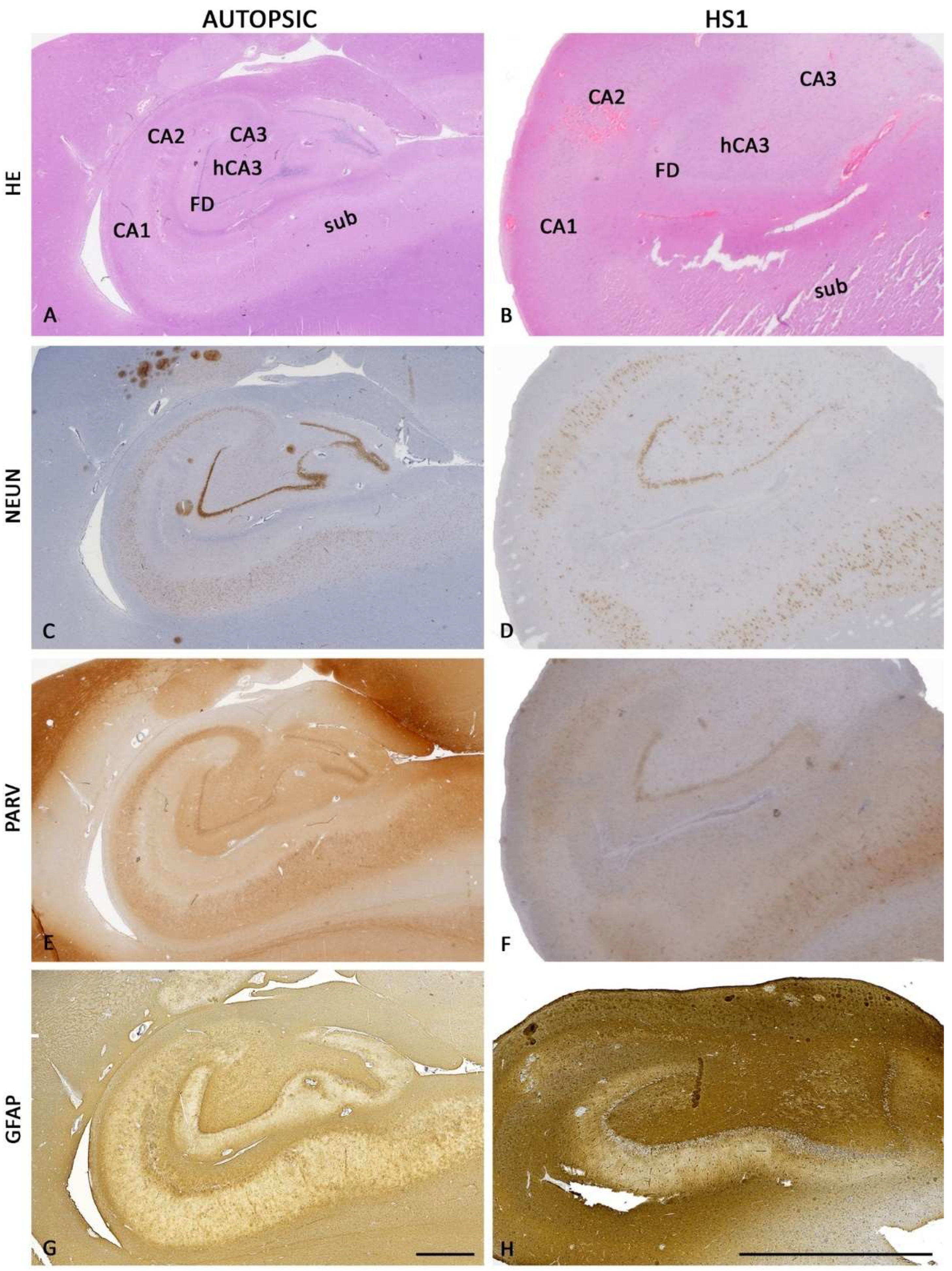 Ijms 23 08197 g002 550