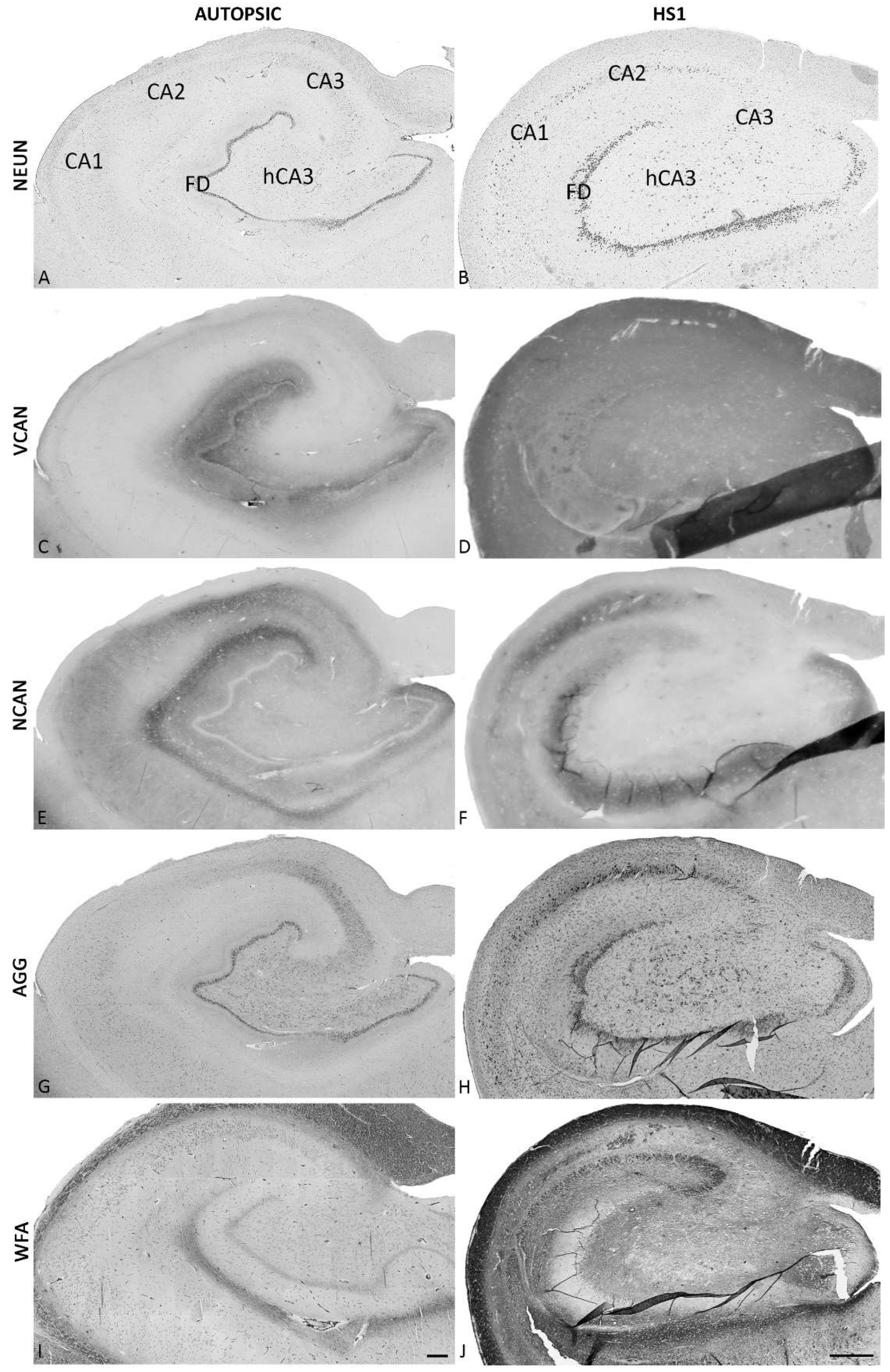 Ijms 23 08197 g003 550