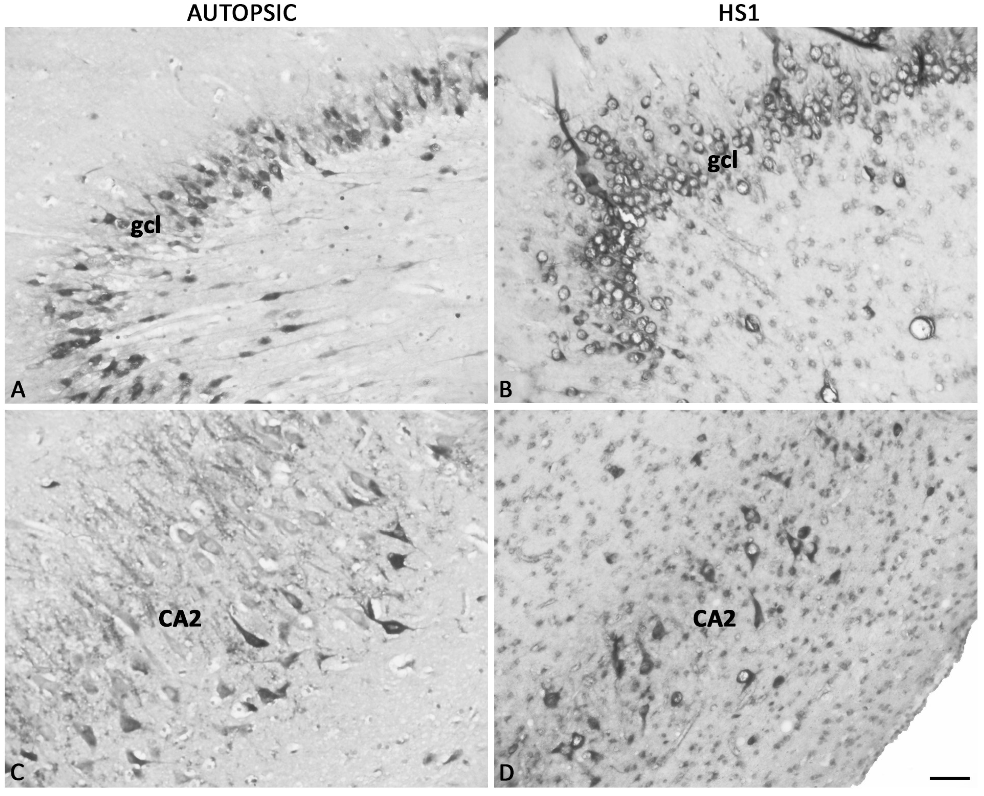 Ijms 23 08197 g004 550