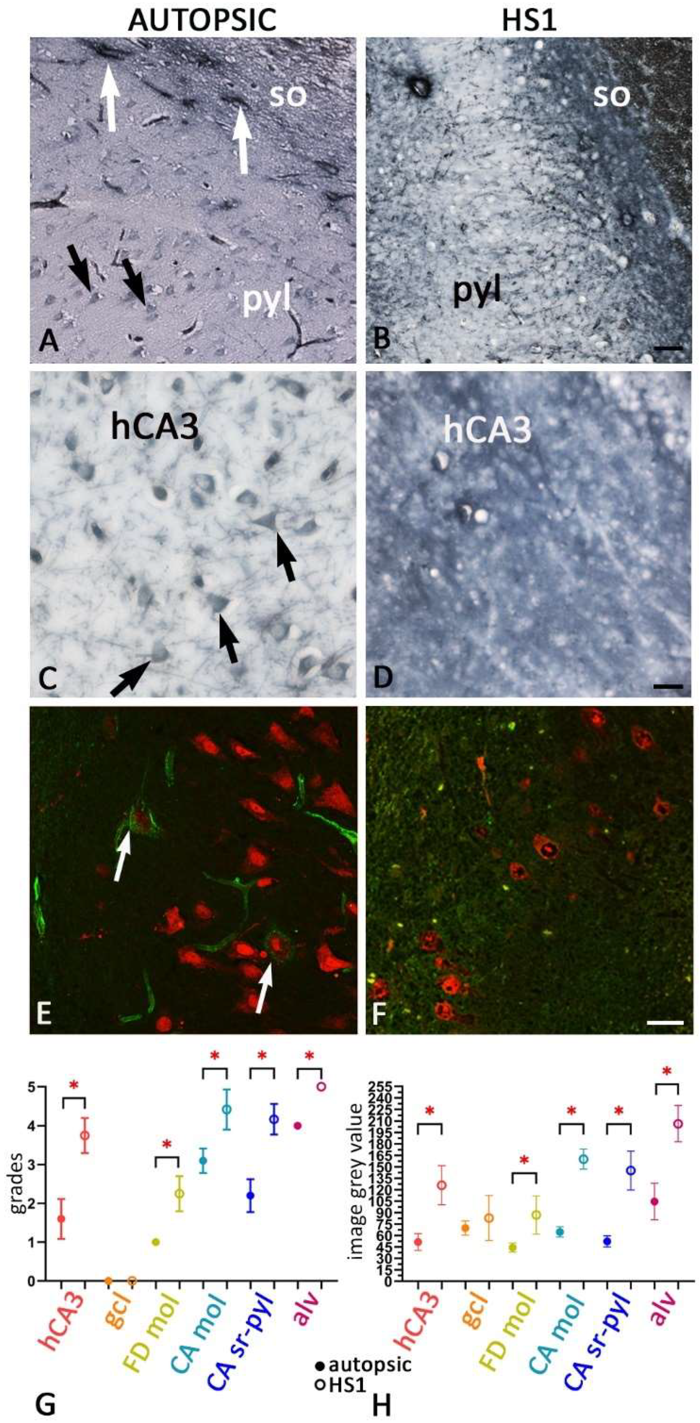 Ijms 23 08197 g006 550