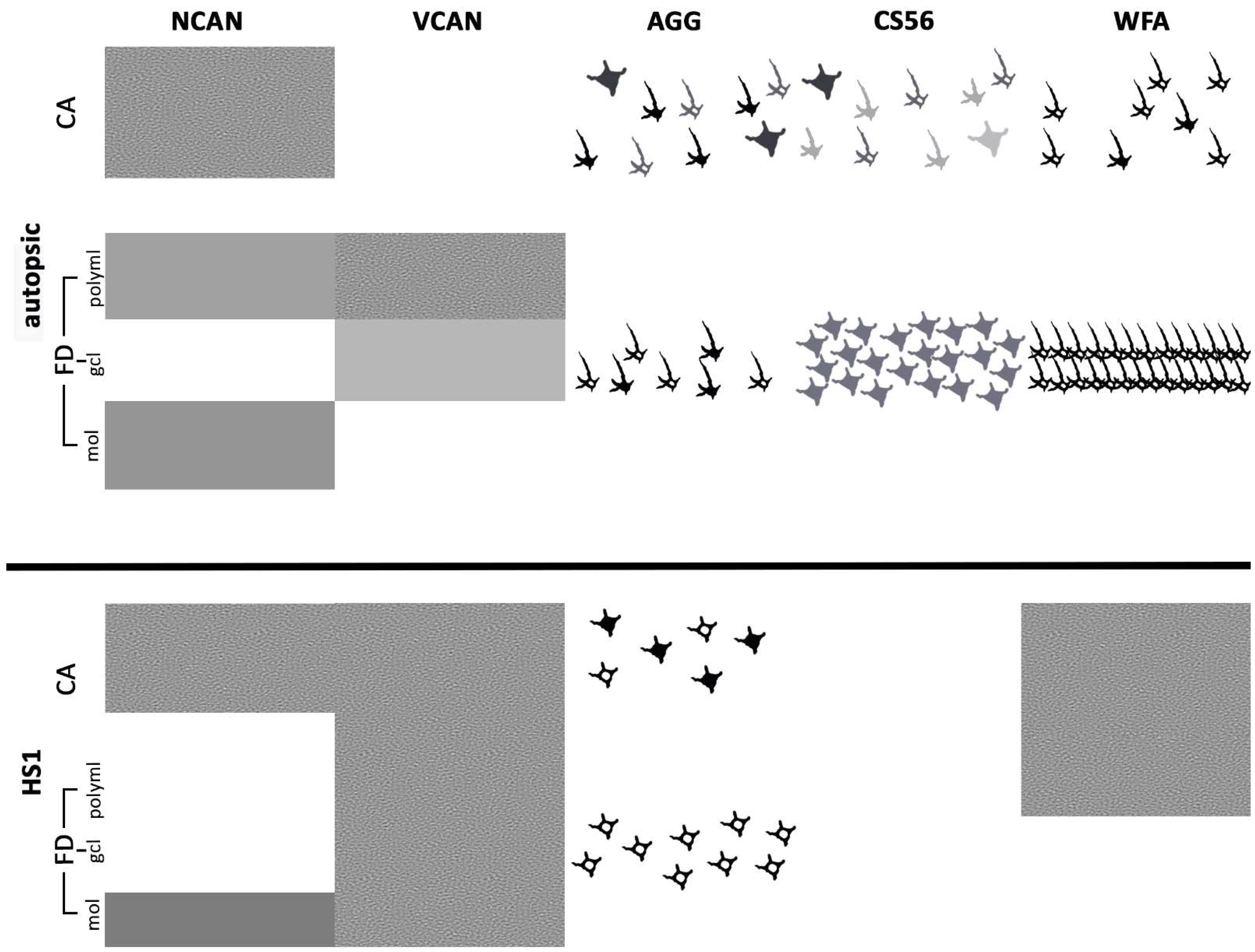 Ijms 23 08197 g008 550