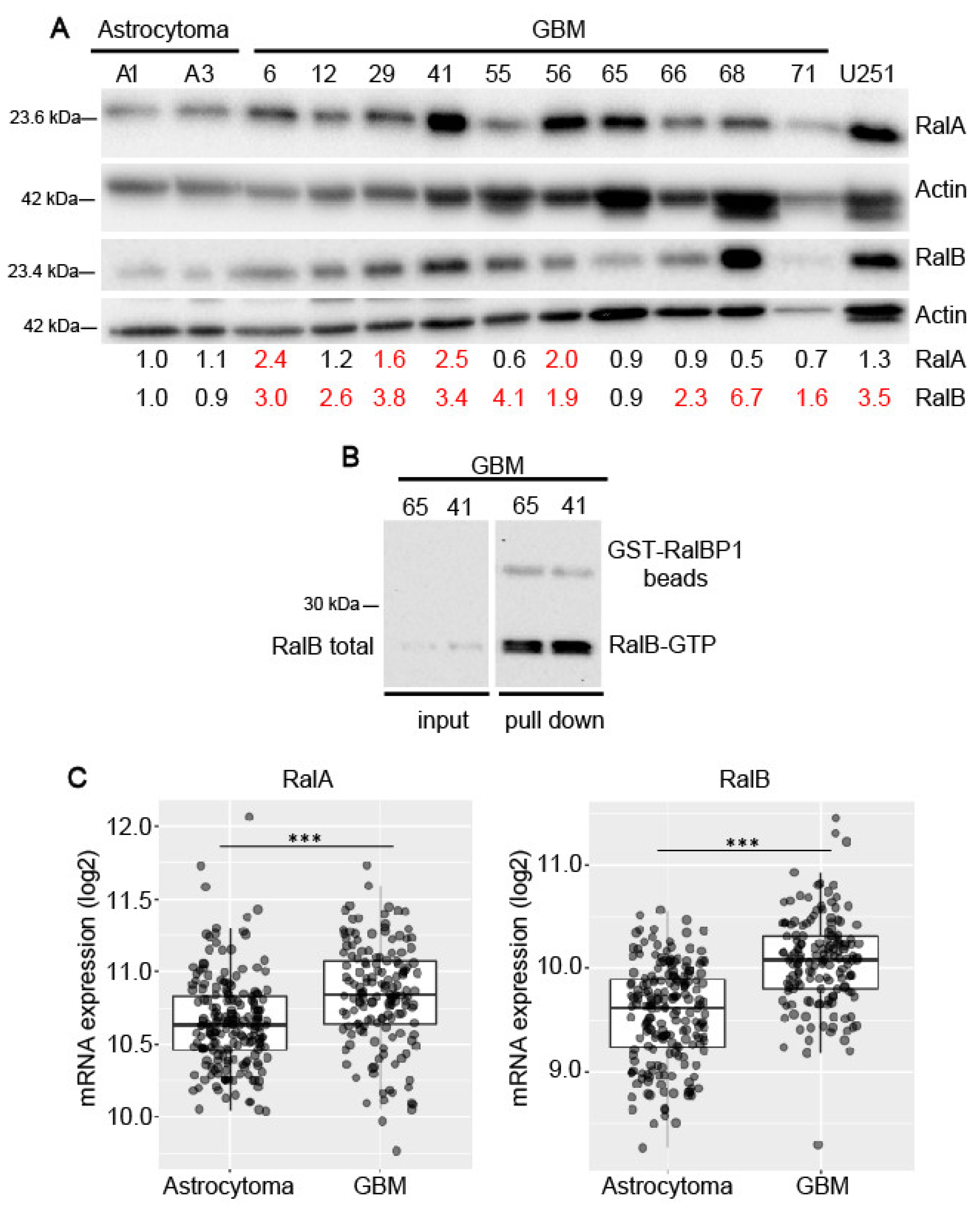 Ijms 23 08199 g001 550