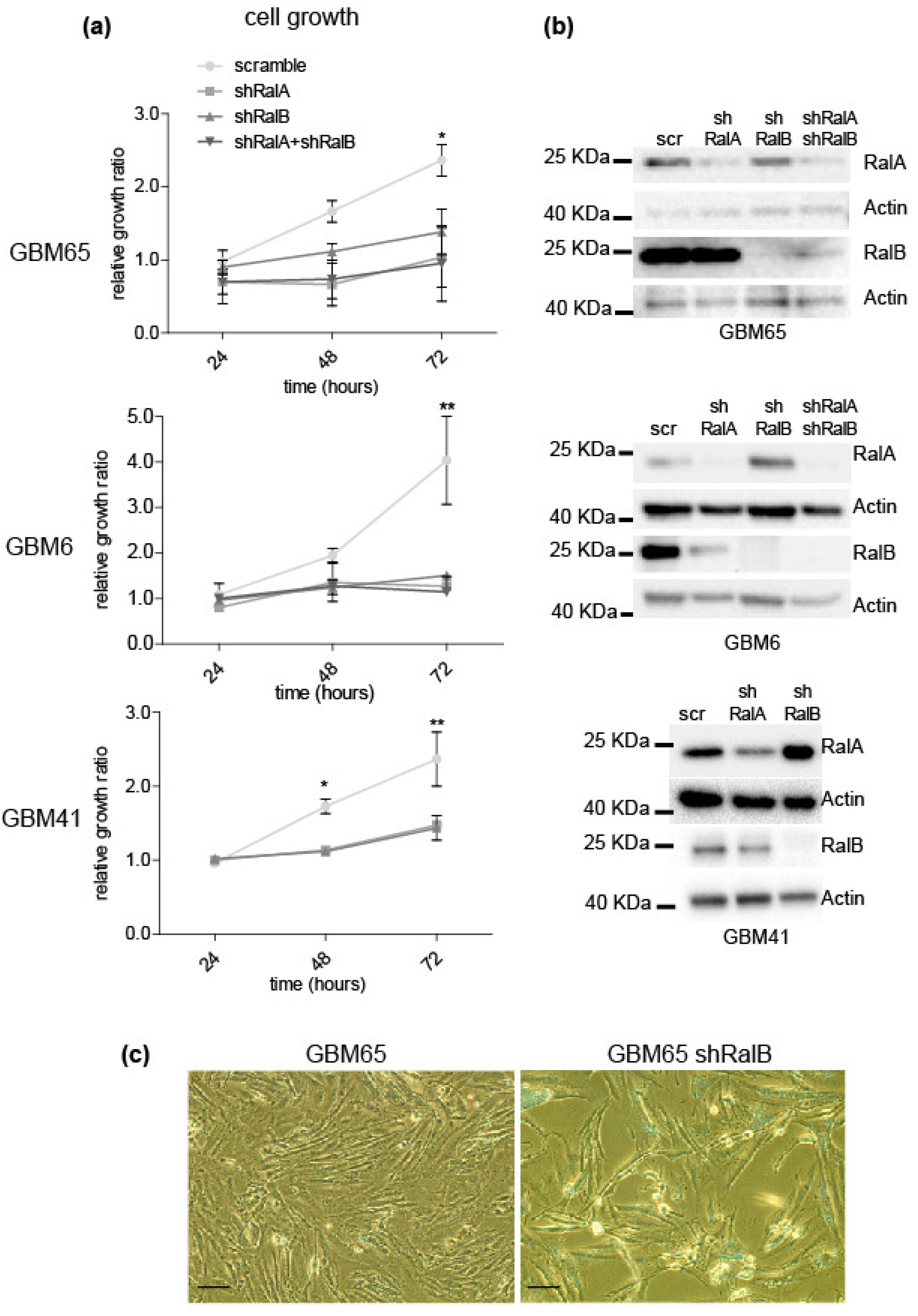 Ijms 23 08199 g002 550