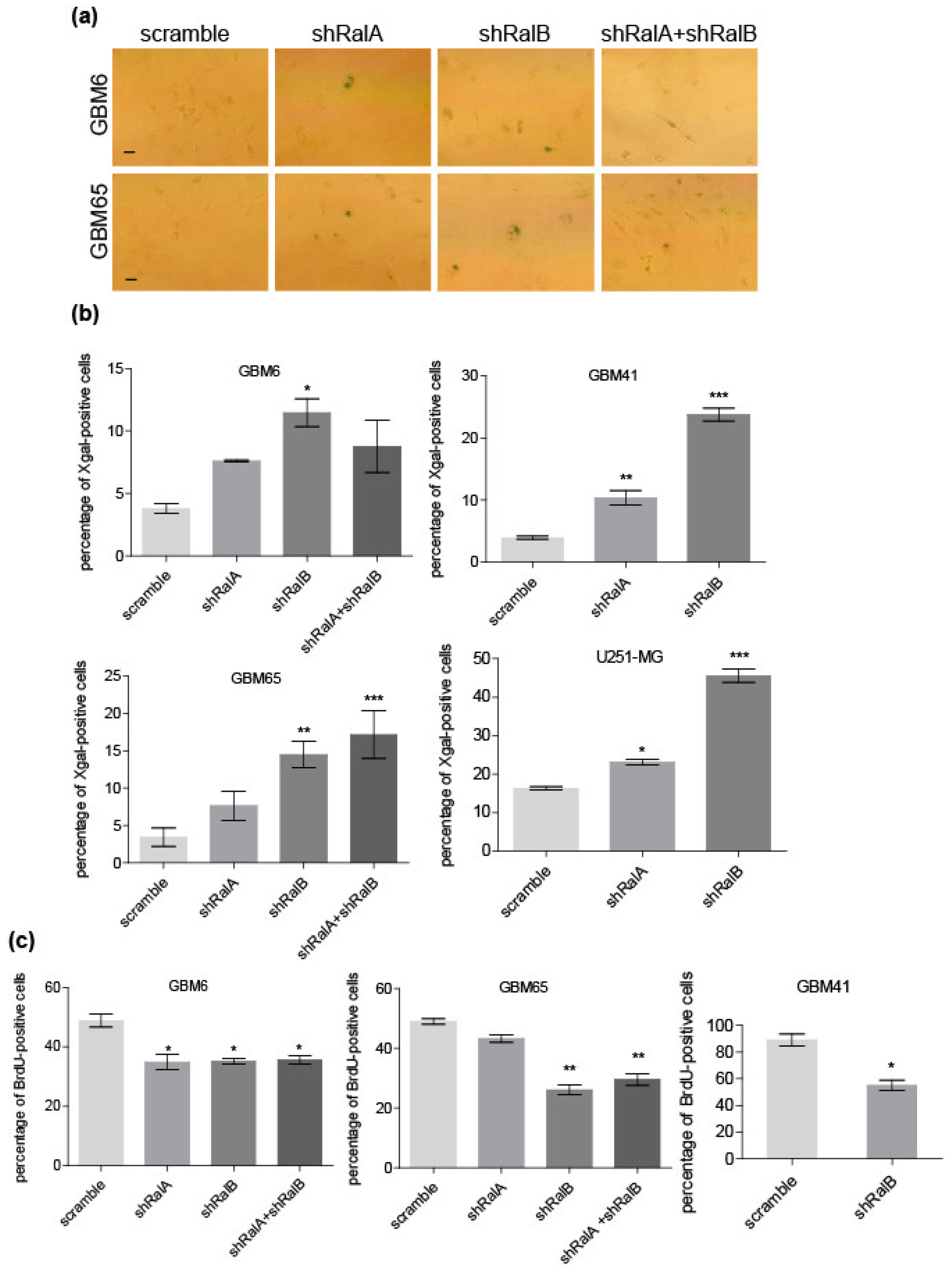 Ijms 23 08199 g004 550