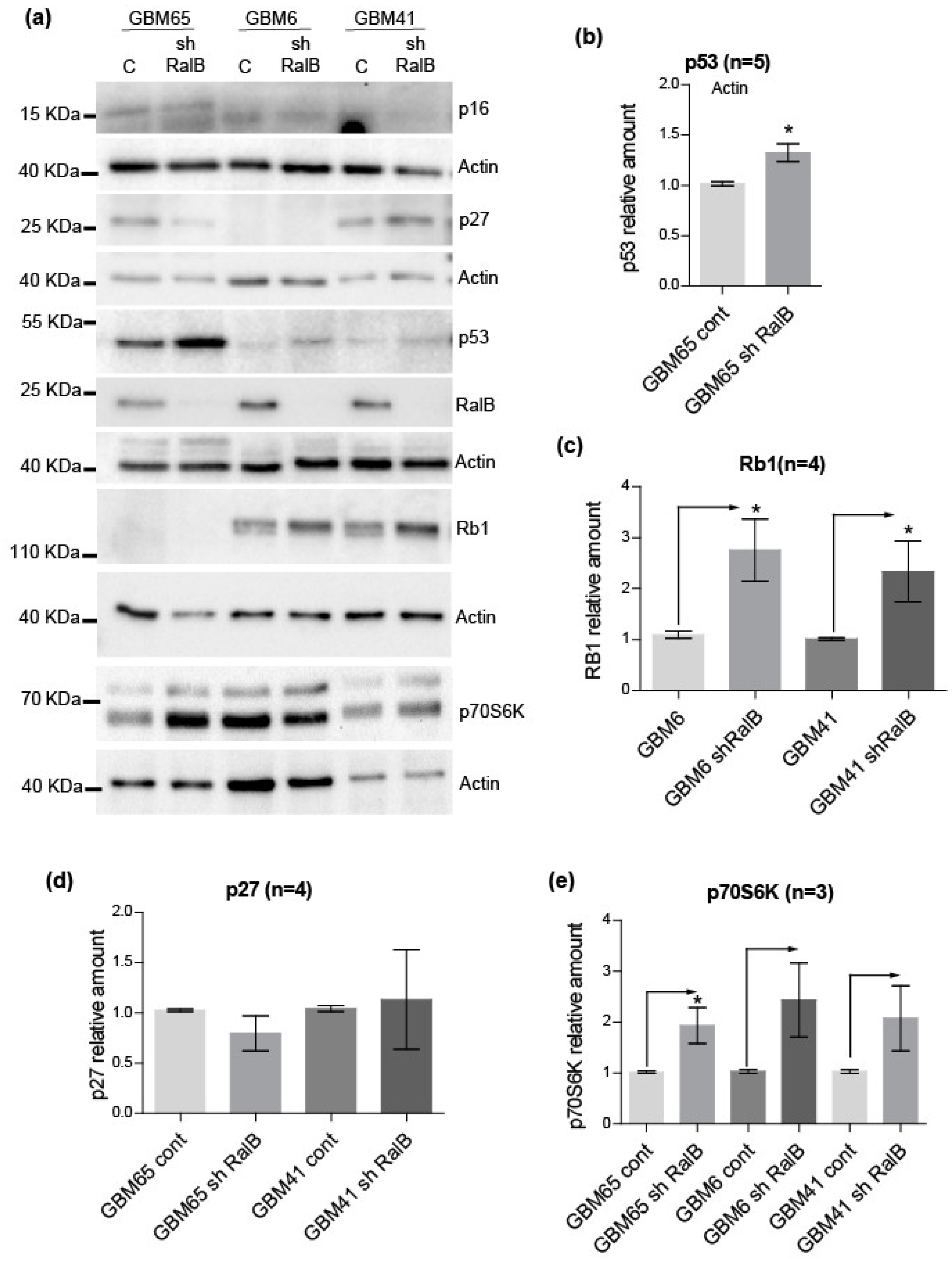 Ijms 23 08199 g005 550
