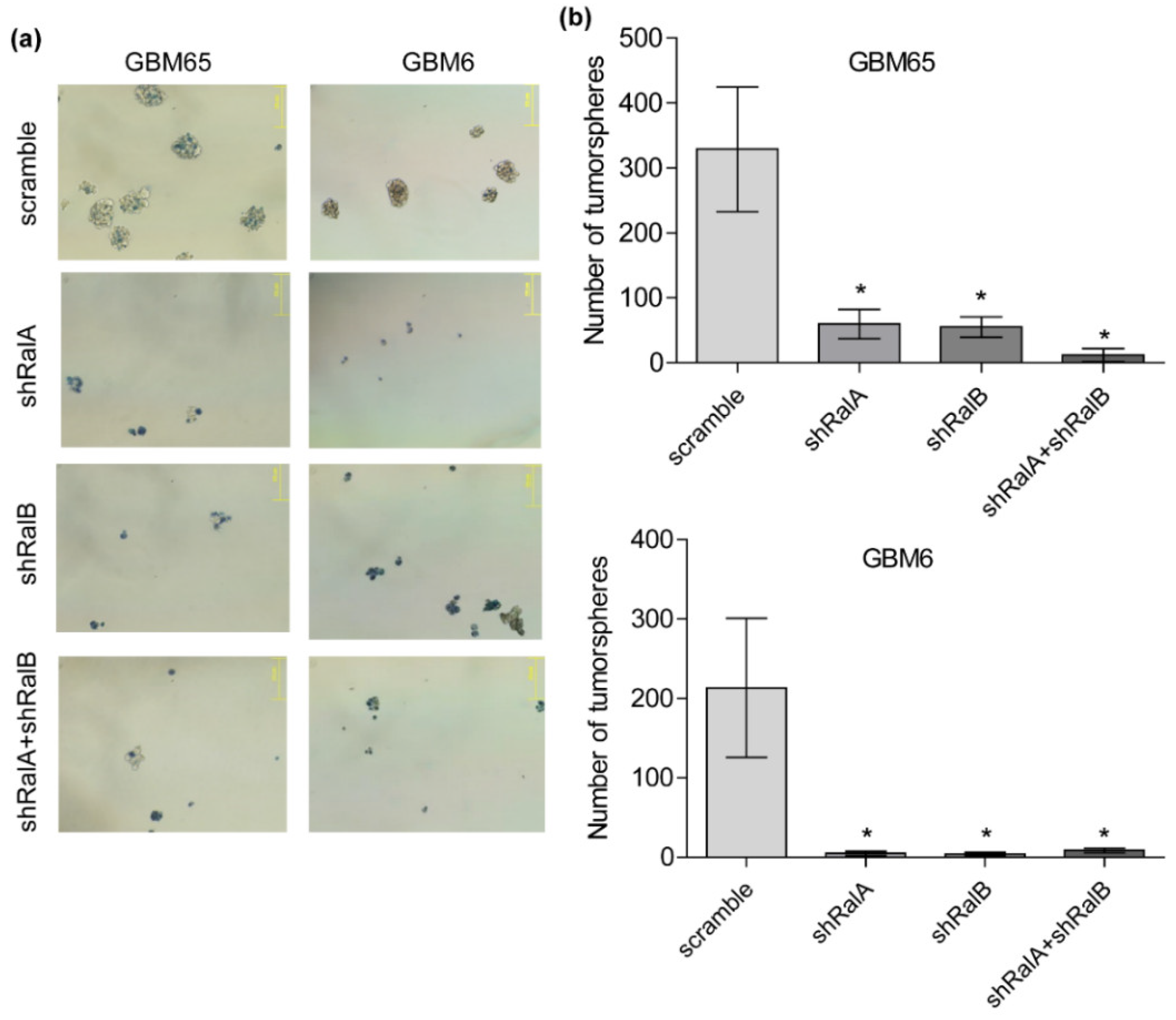 Ijms 23 08199 g006 550