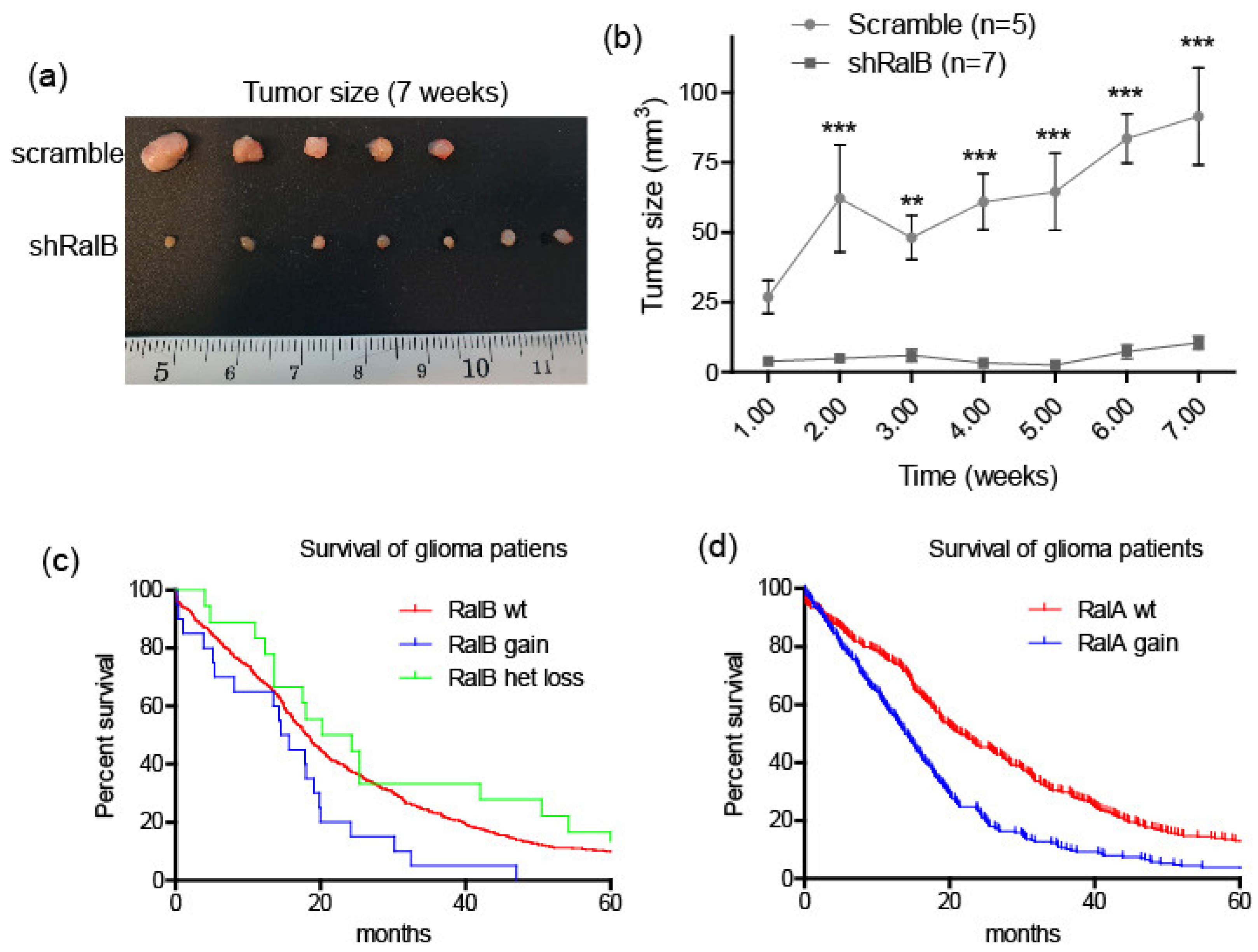 Ijms 23 08199 g007 550