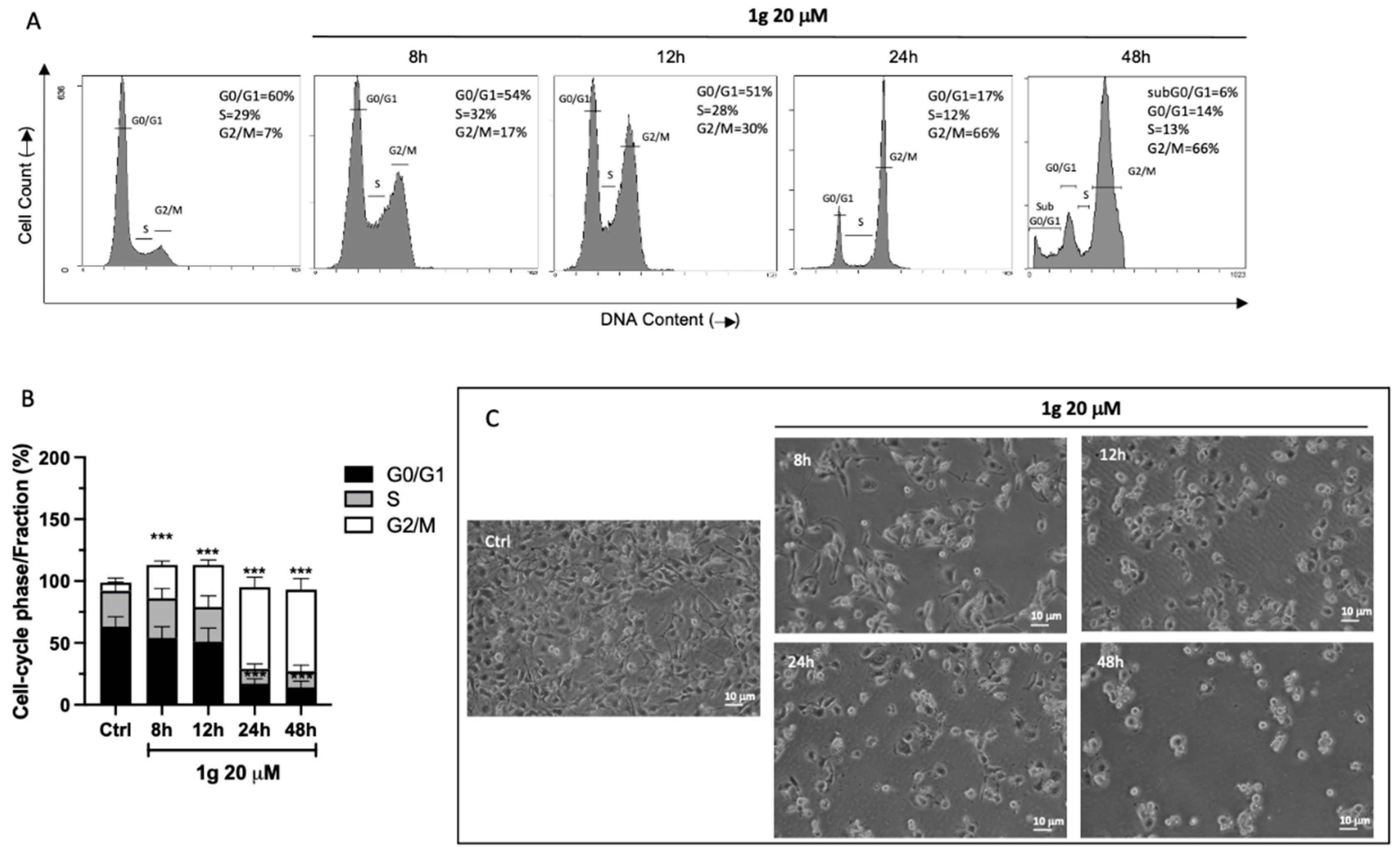 Ijms 23 08200 g002 550