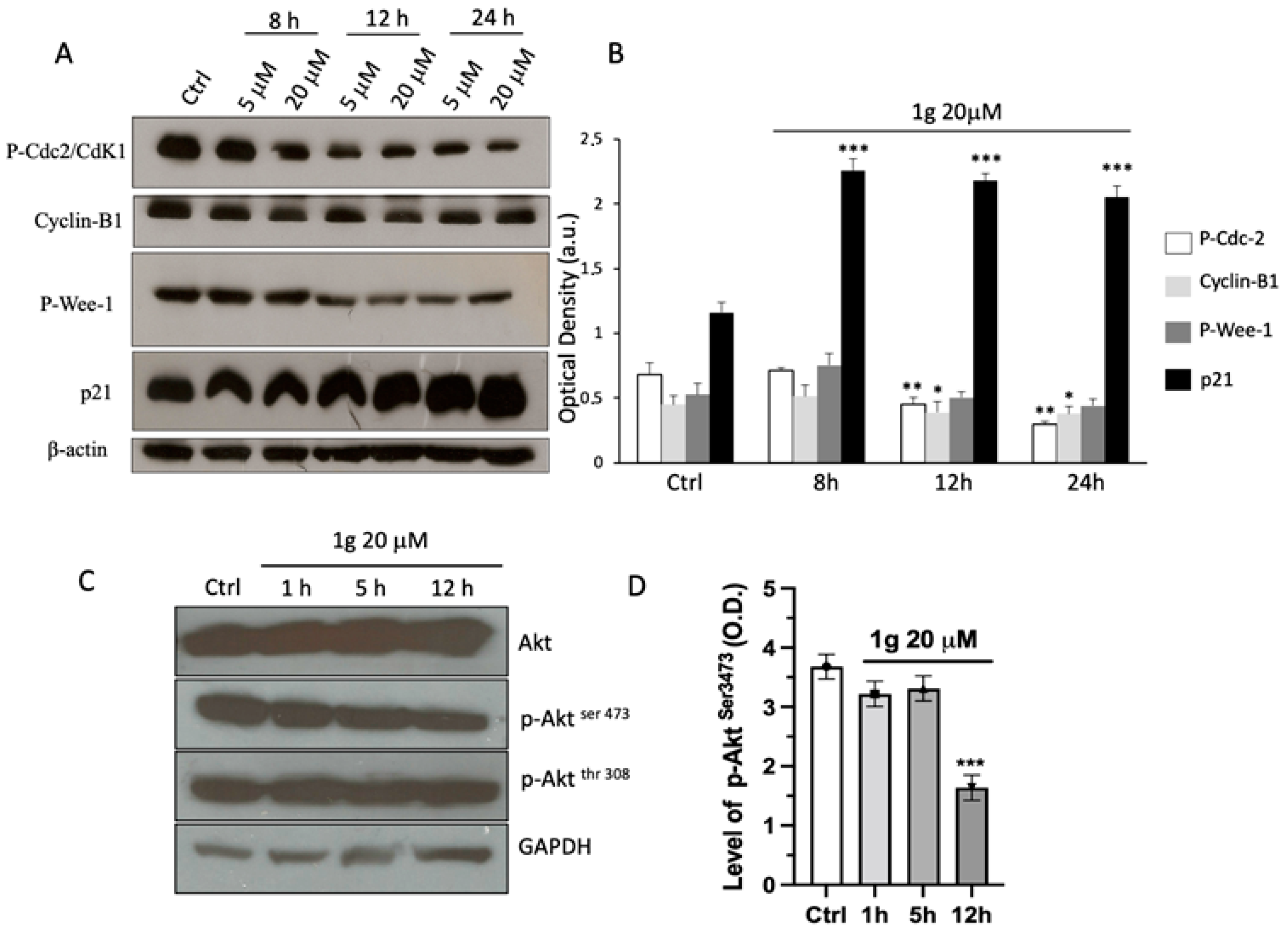 Ijms 23 08200 g003 550
