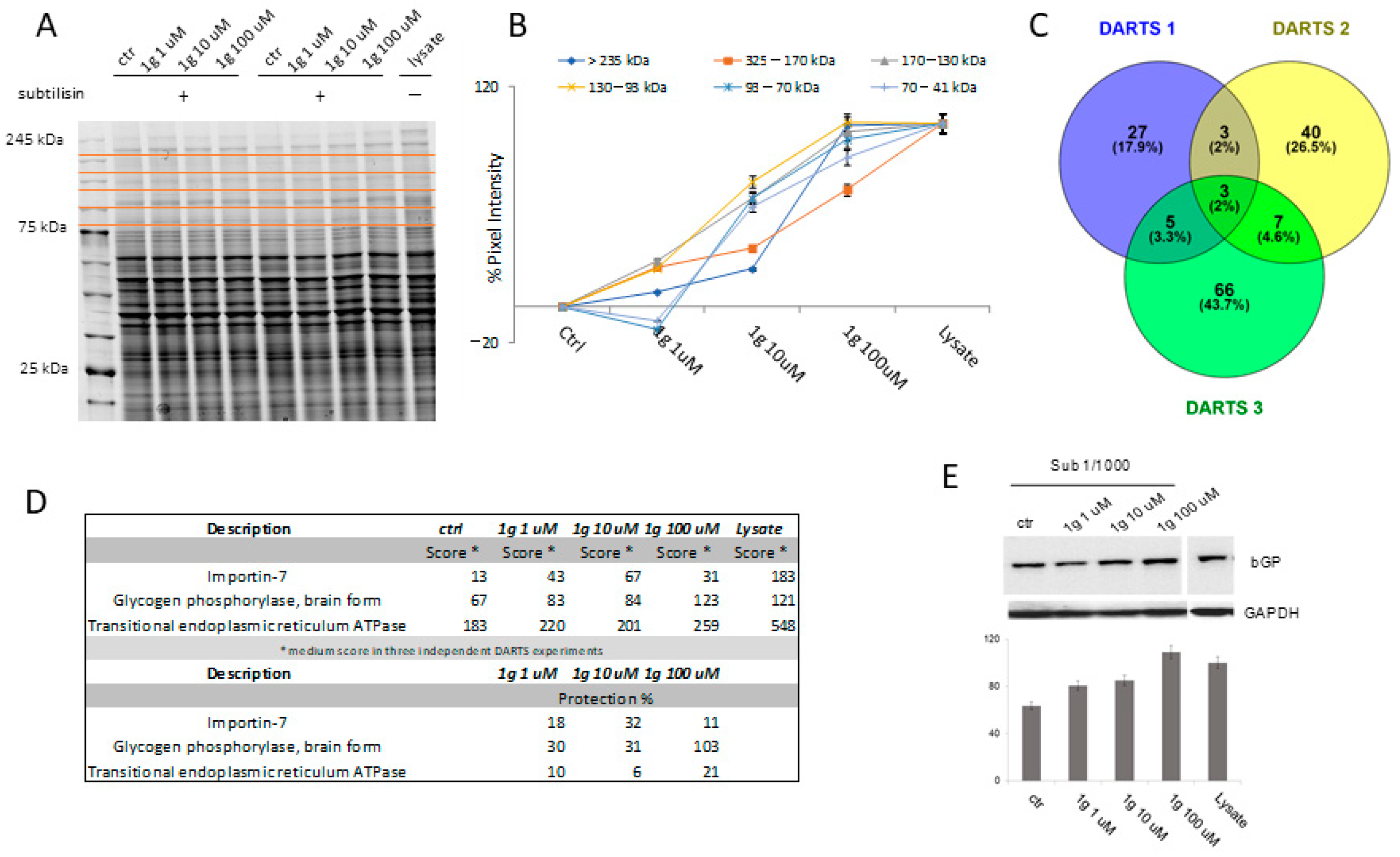 Ijms 23 08200 g004 550