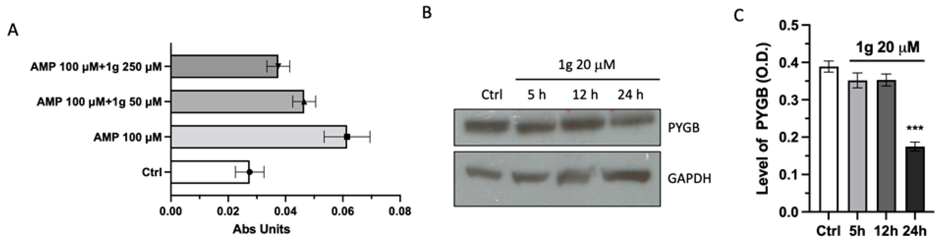 Ijms 23 08200 g006 550