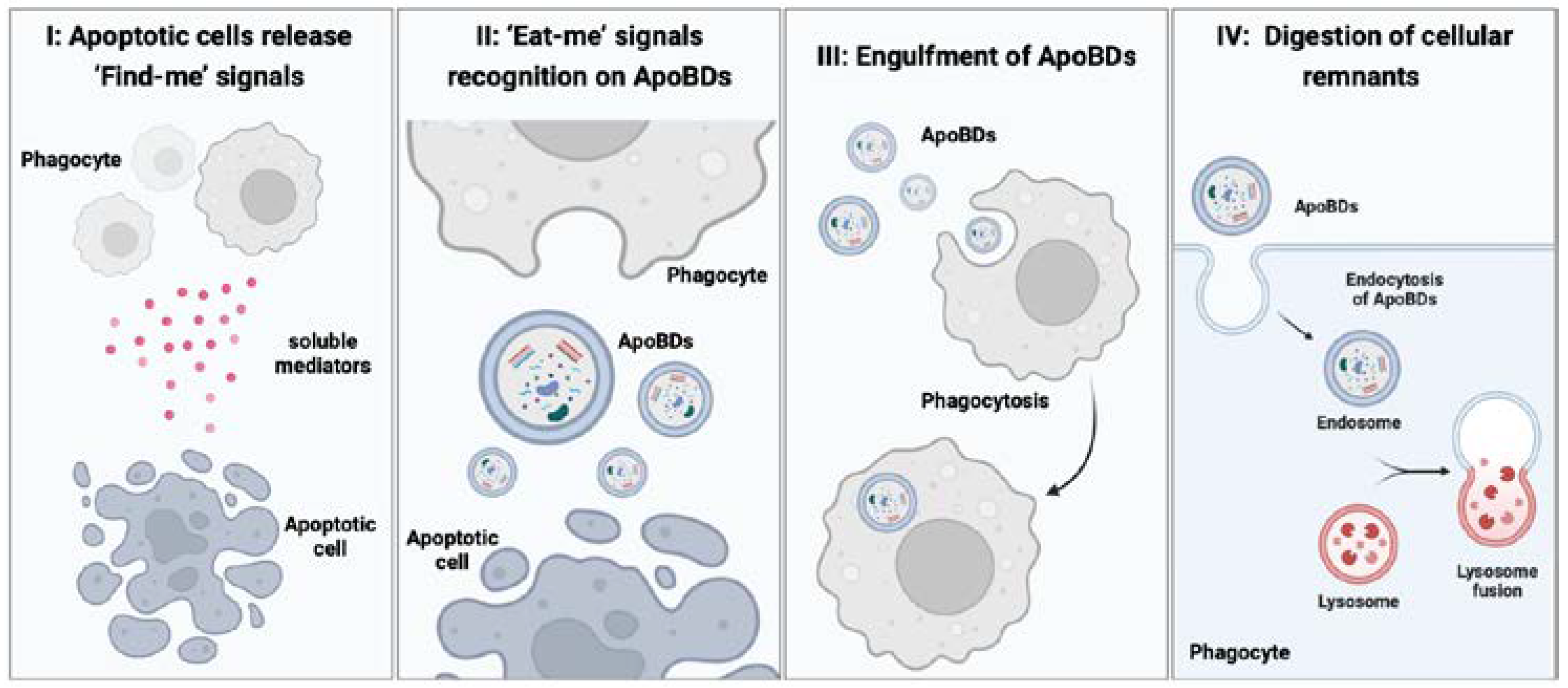 Ijms 23 08202 g002 Ijms 23 08202 g002