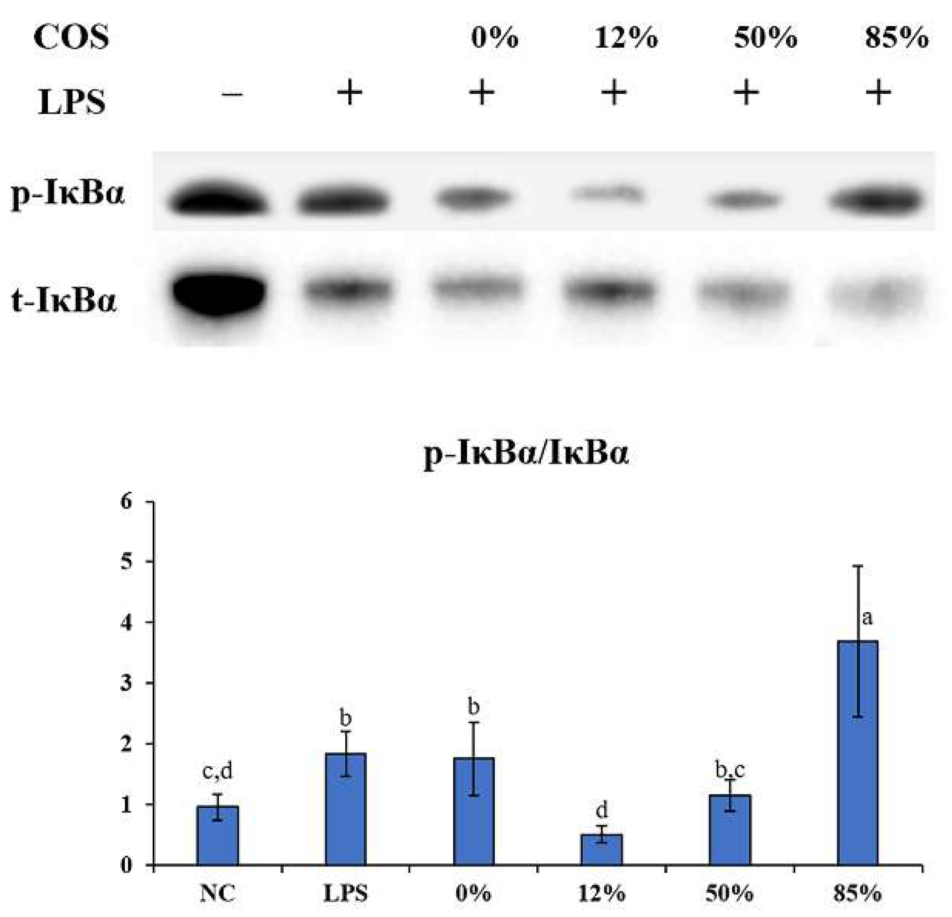 Ijms 23 08205 g006 550