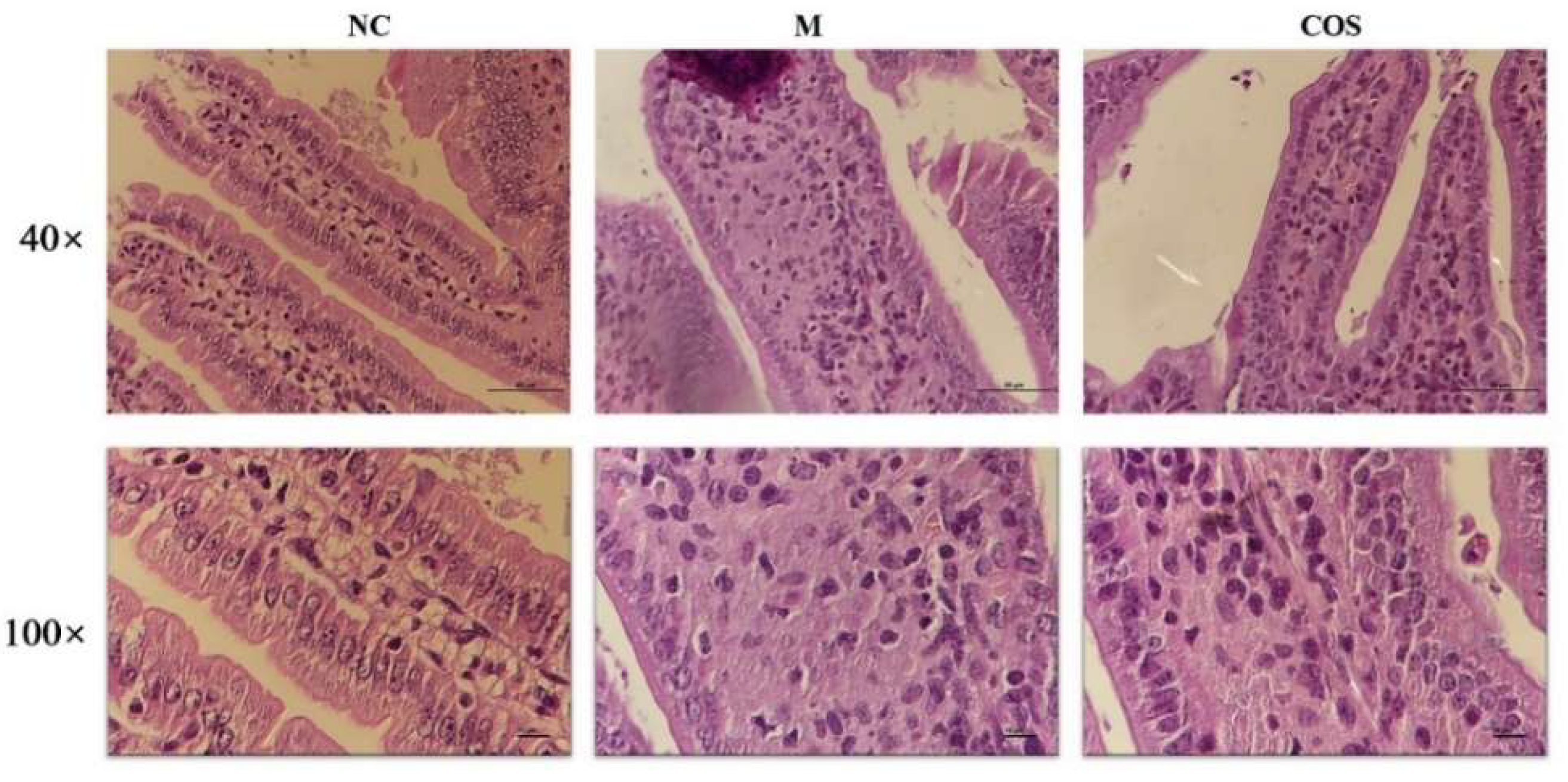 Ijms 23 08205 g010 550