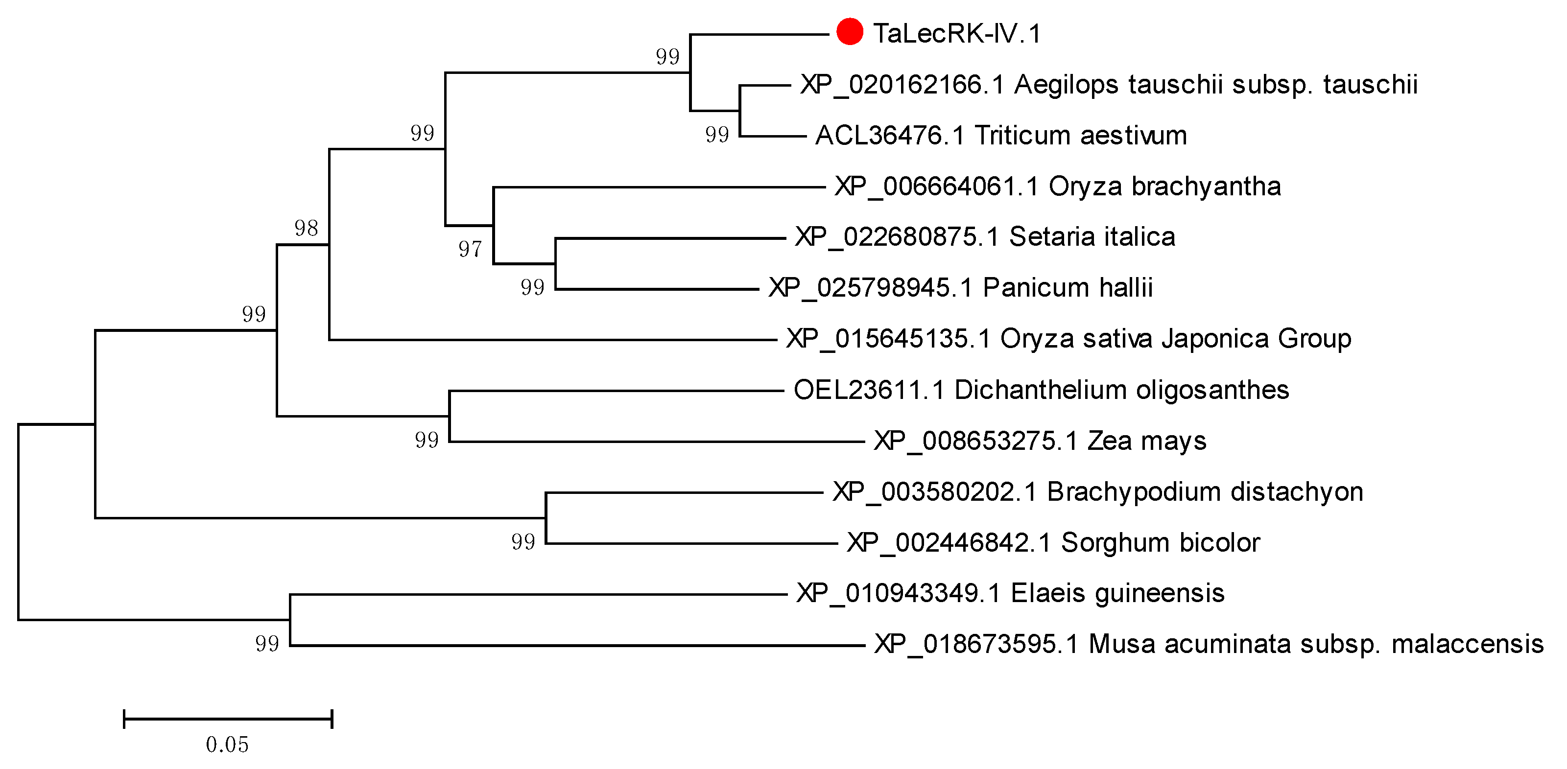 Ijms 23 08208 g001 550