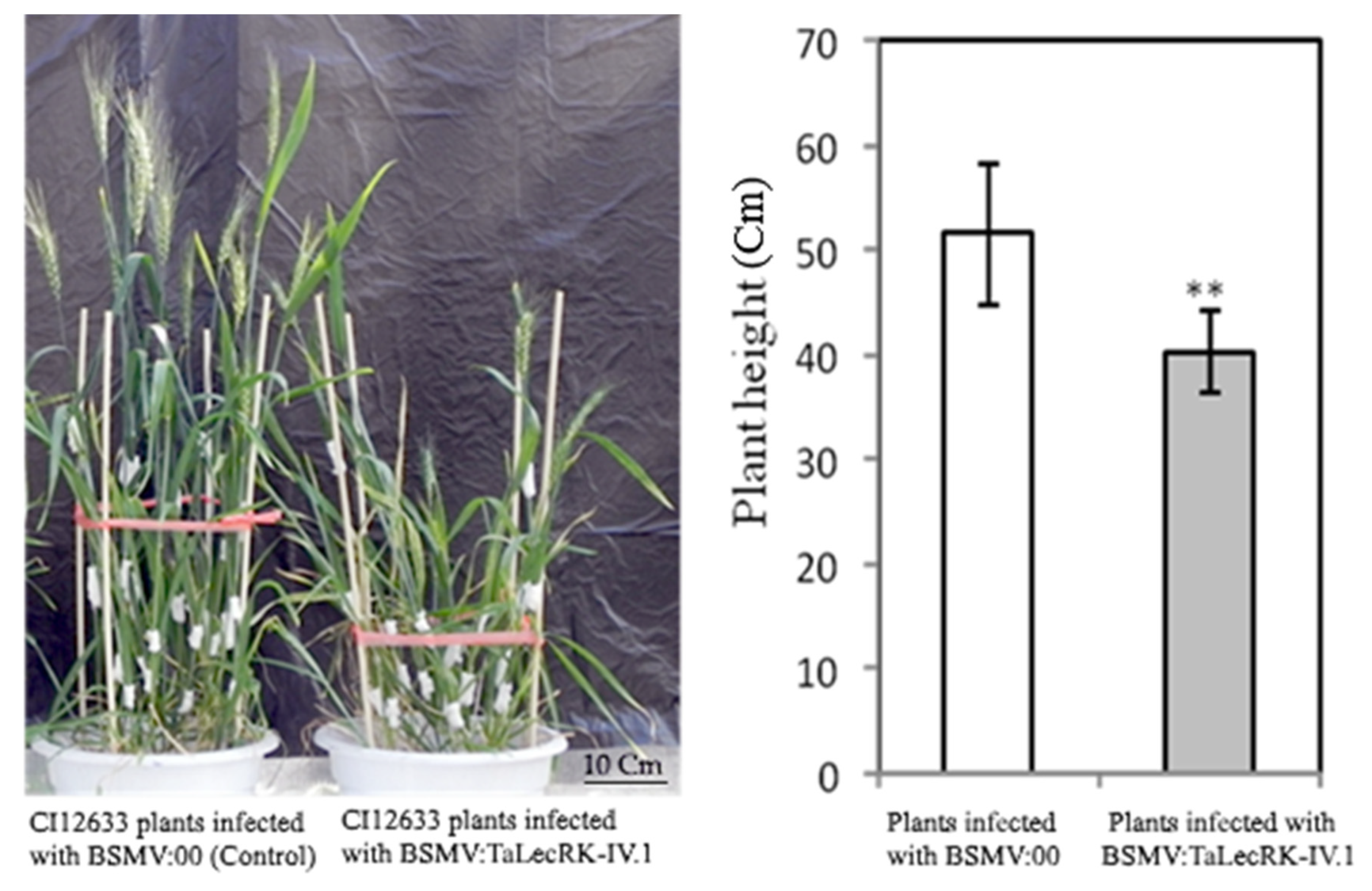 Ijms 23 08208 g003 550