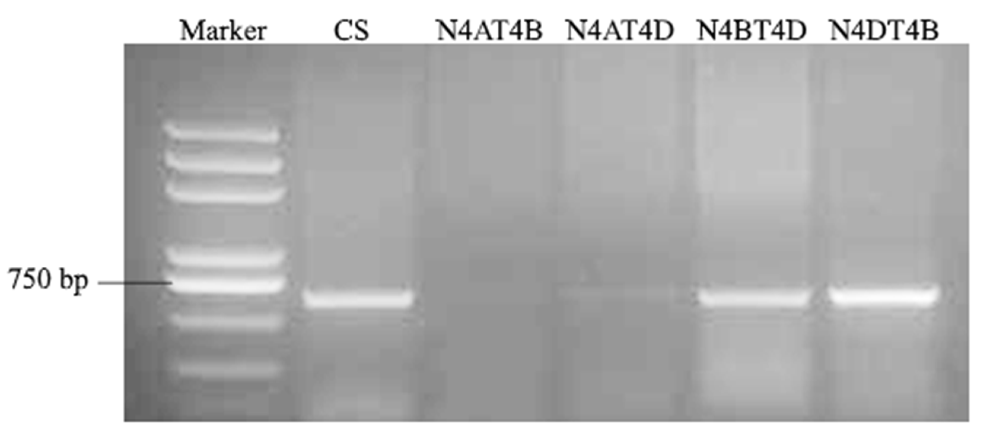 Ijms 23 08208 g008 550