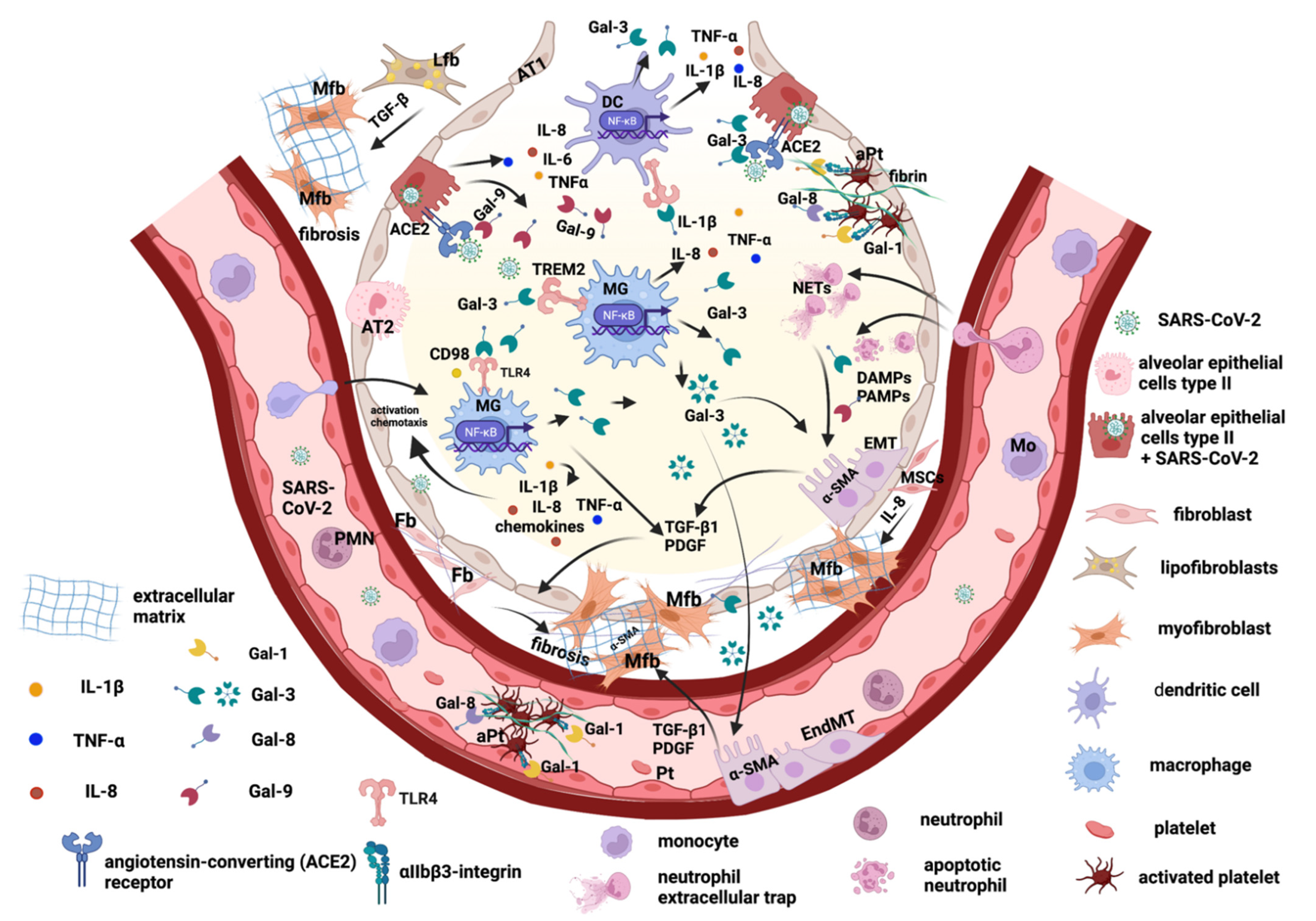 Ijms 23 08210 g001 550