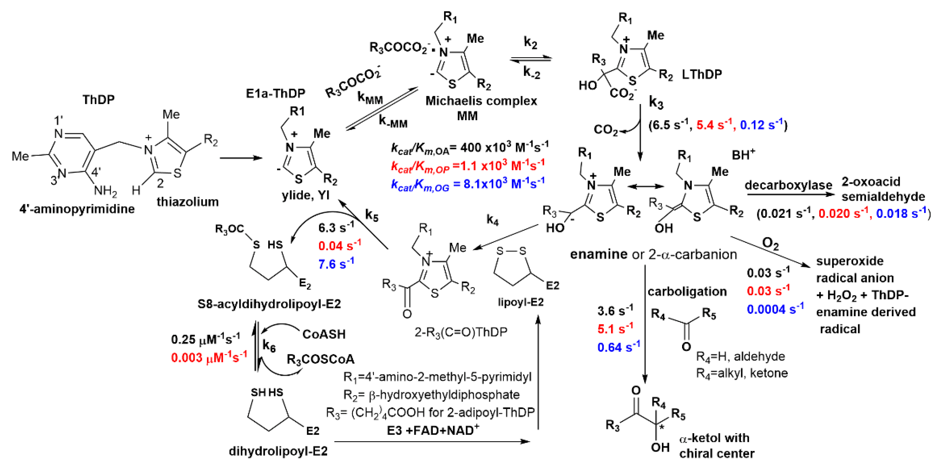 Ijms 23 08213 sch001