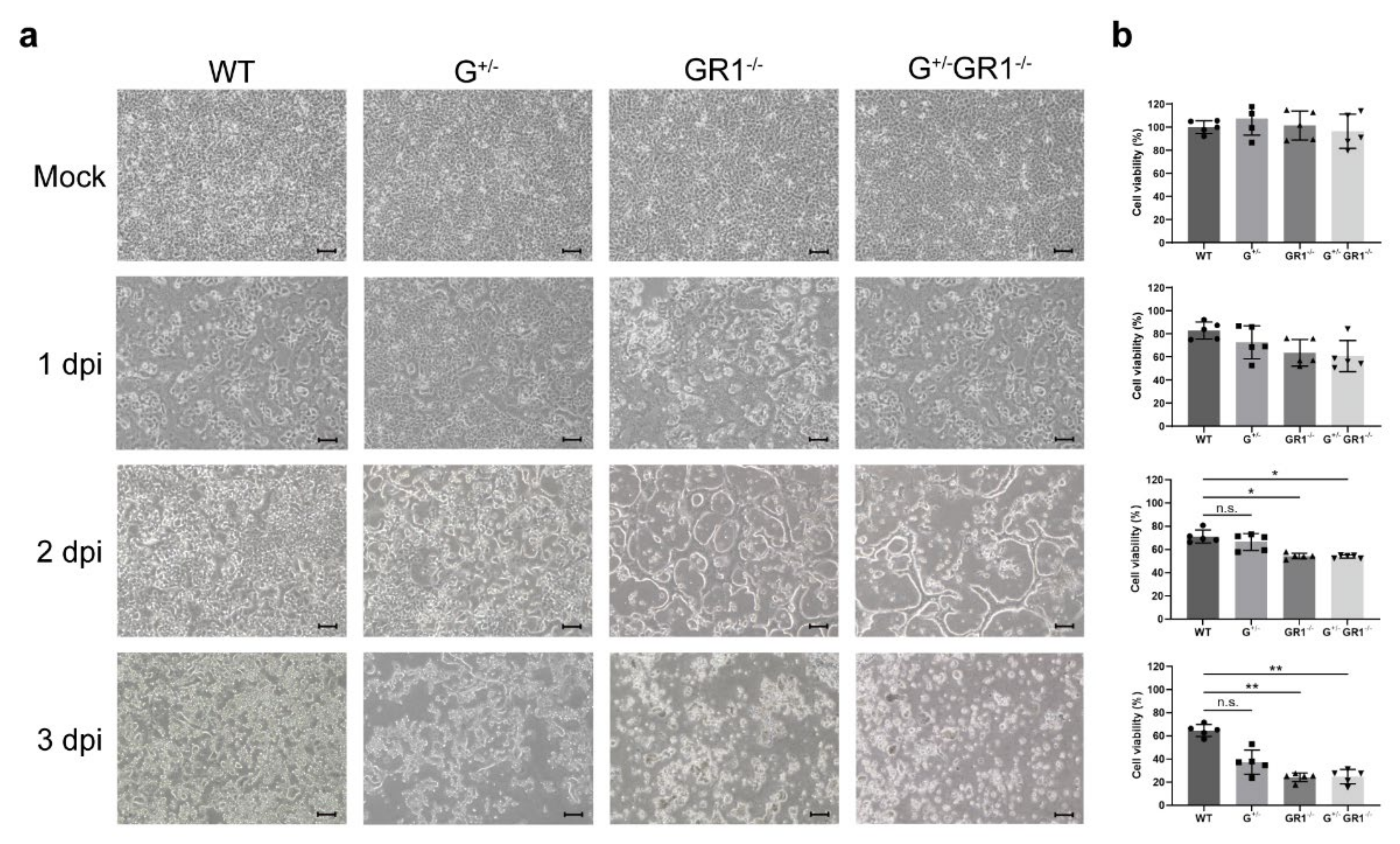 Ijms 23 08217 g003 550