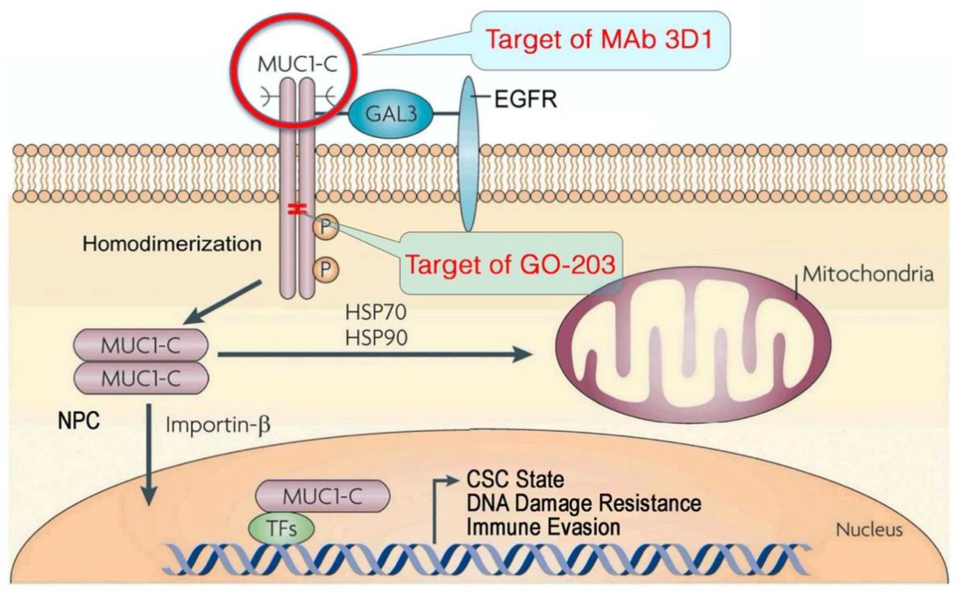 Ijms 23 08219 g001 550