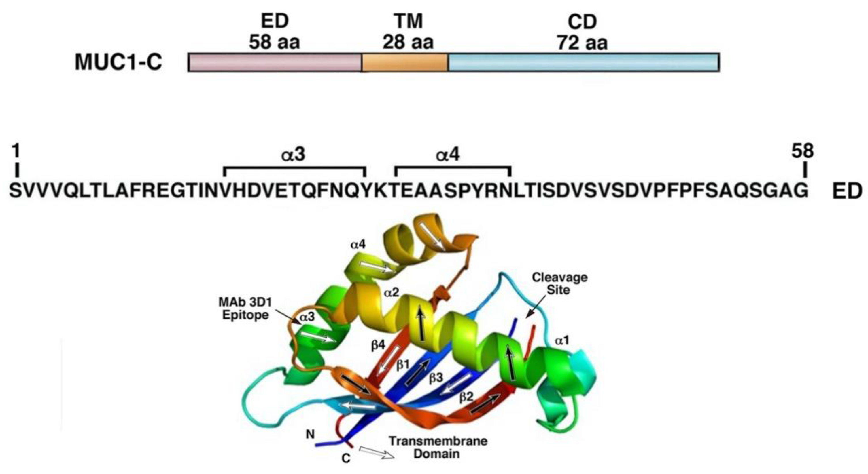 Ijms 23 08219 g002 550