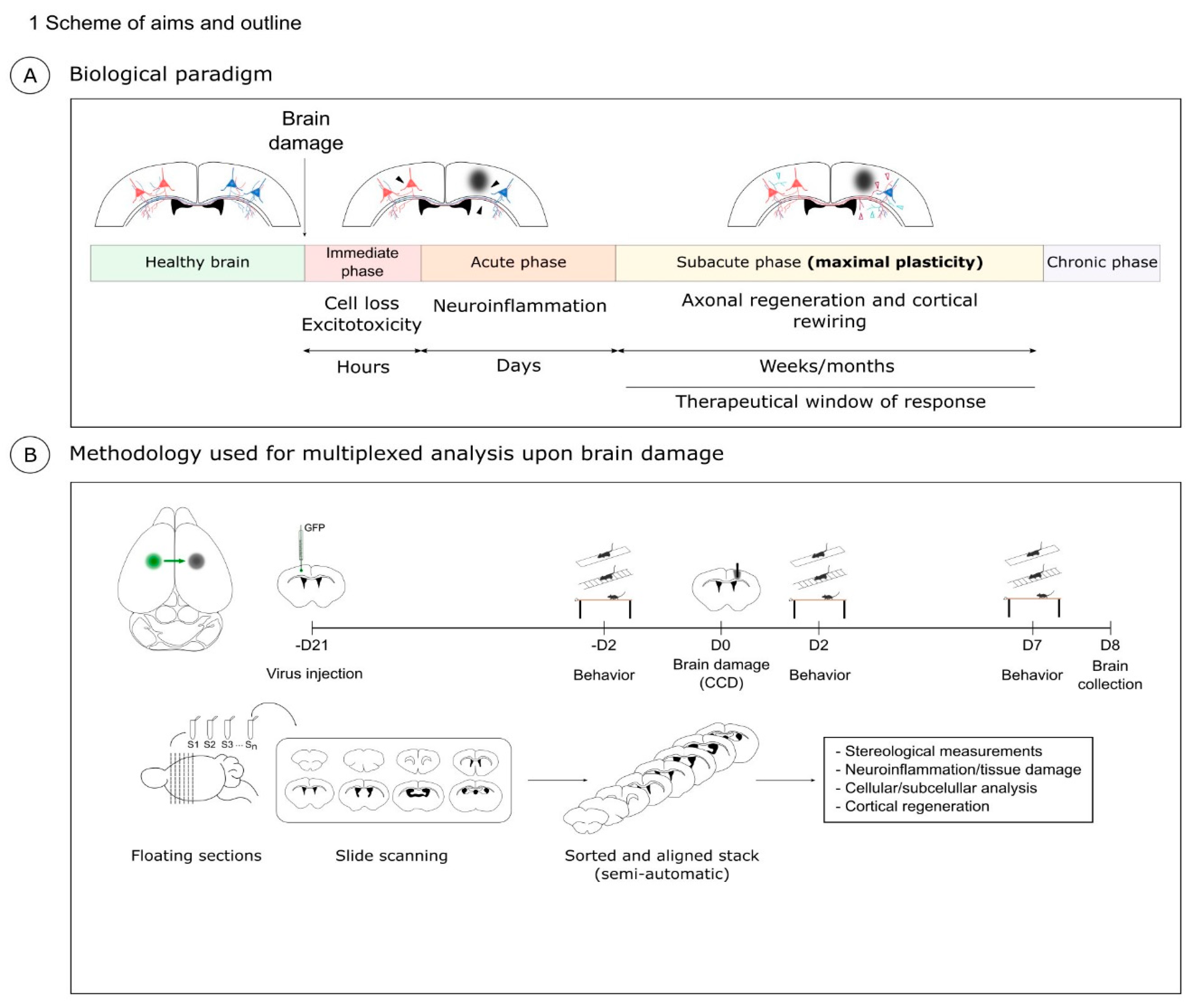 Ijms 23 08224 g001 550