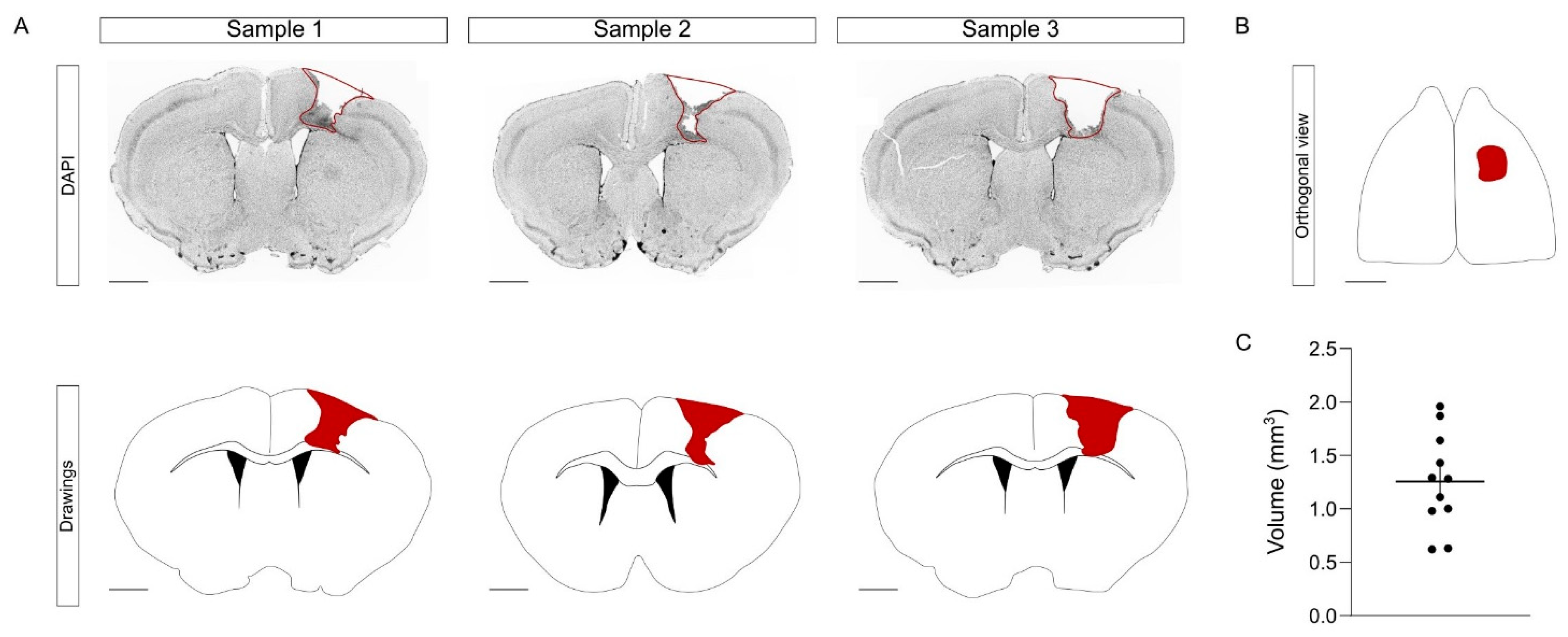 Ijms 23 08224 g003 550