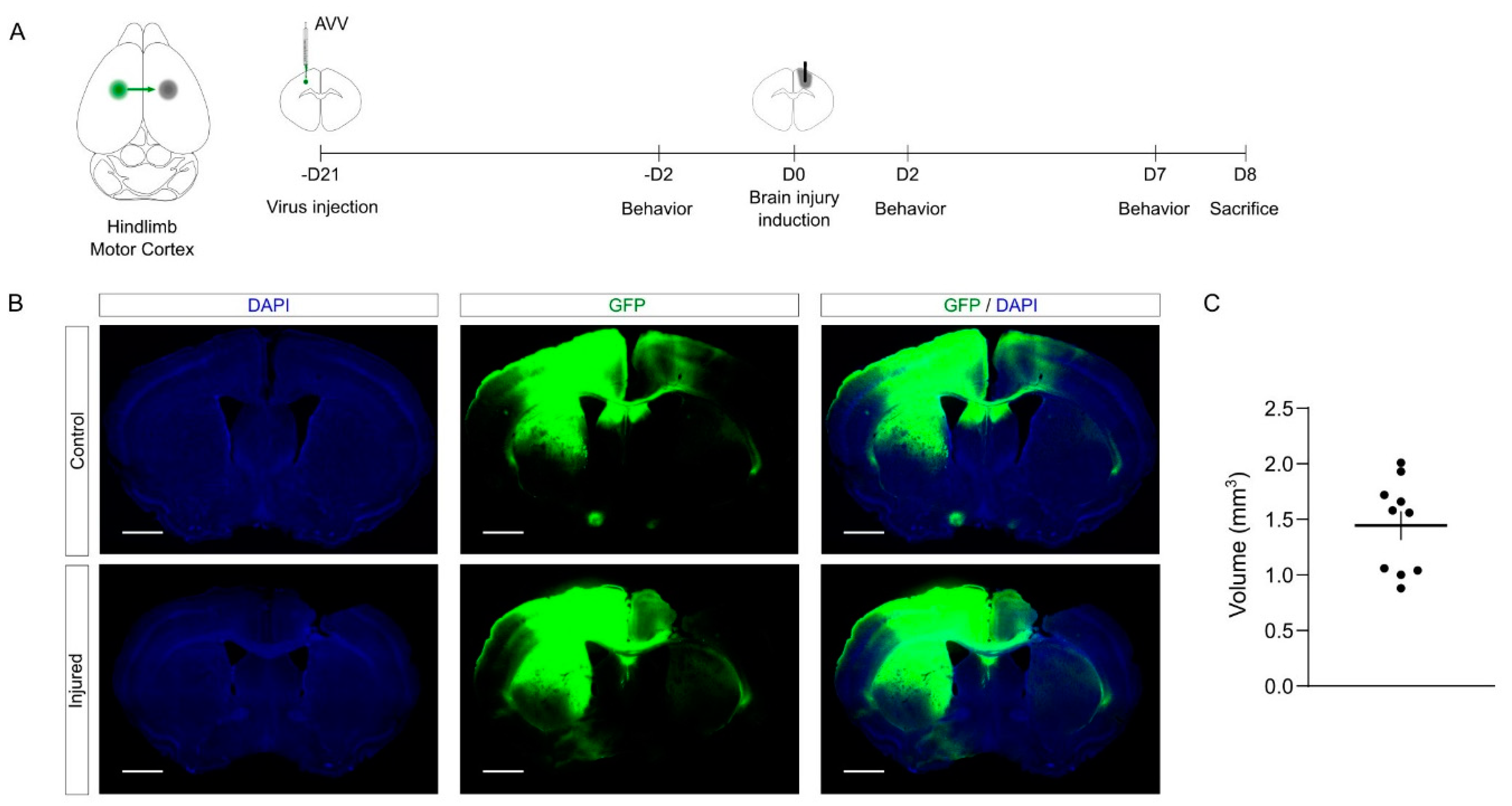 Ijms 23 08224 g004 550