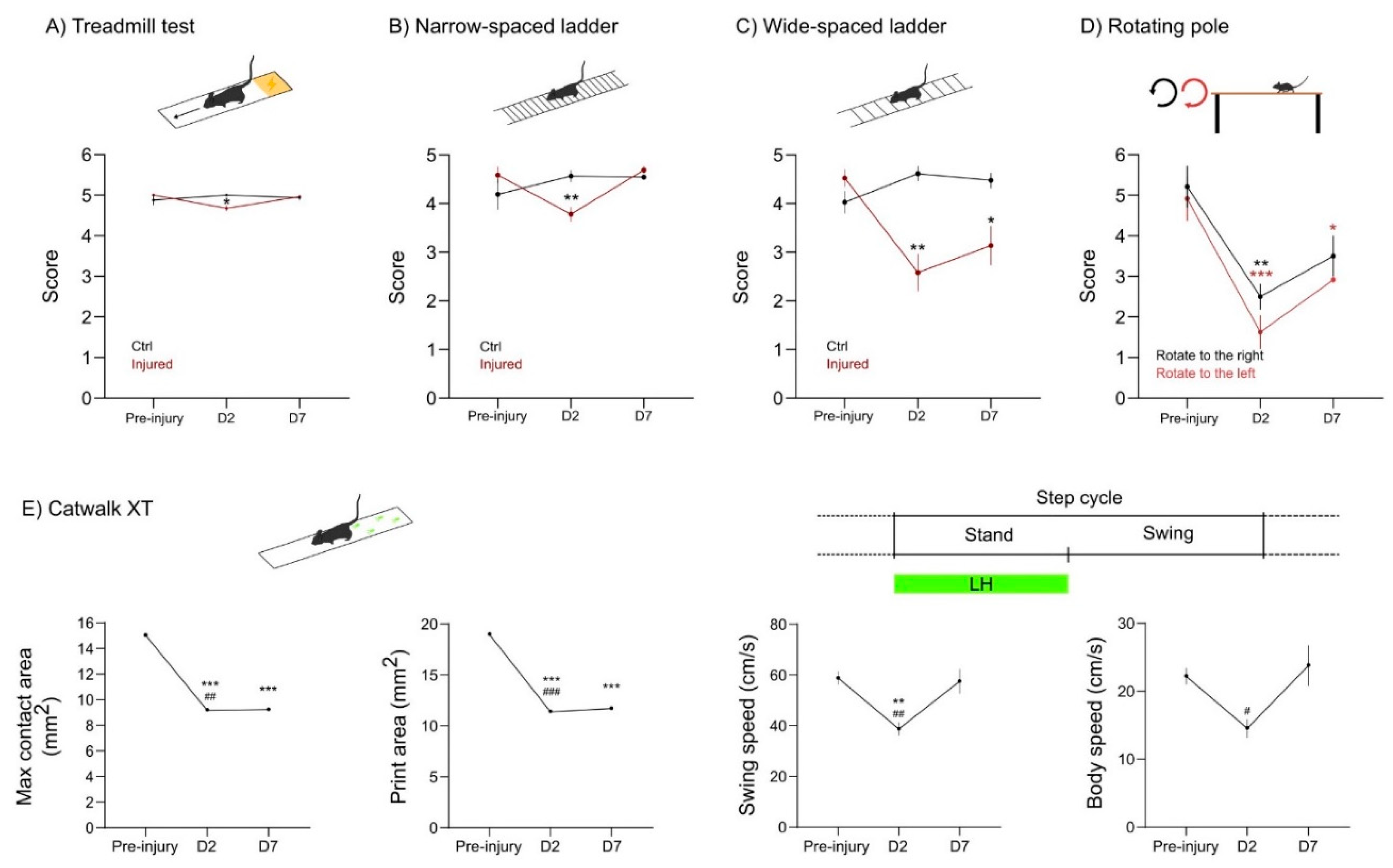 Ijms 23 08224 g005 550
