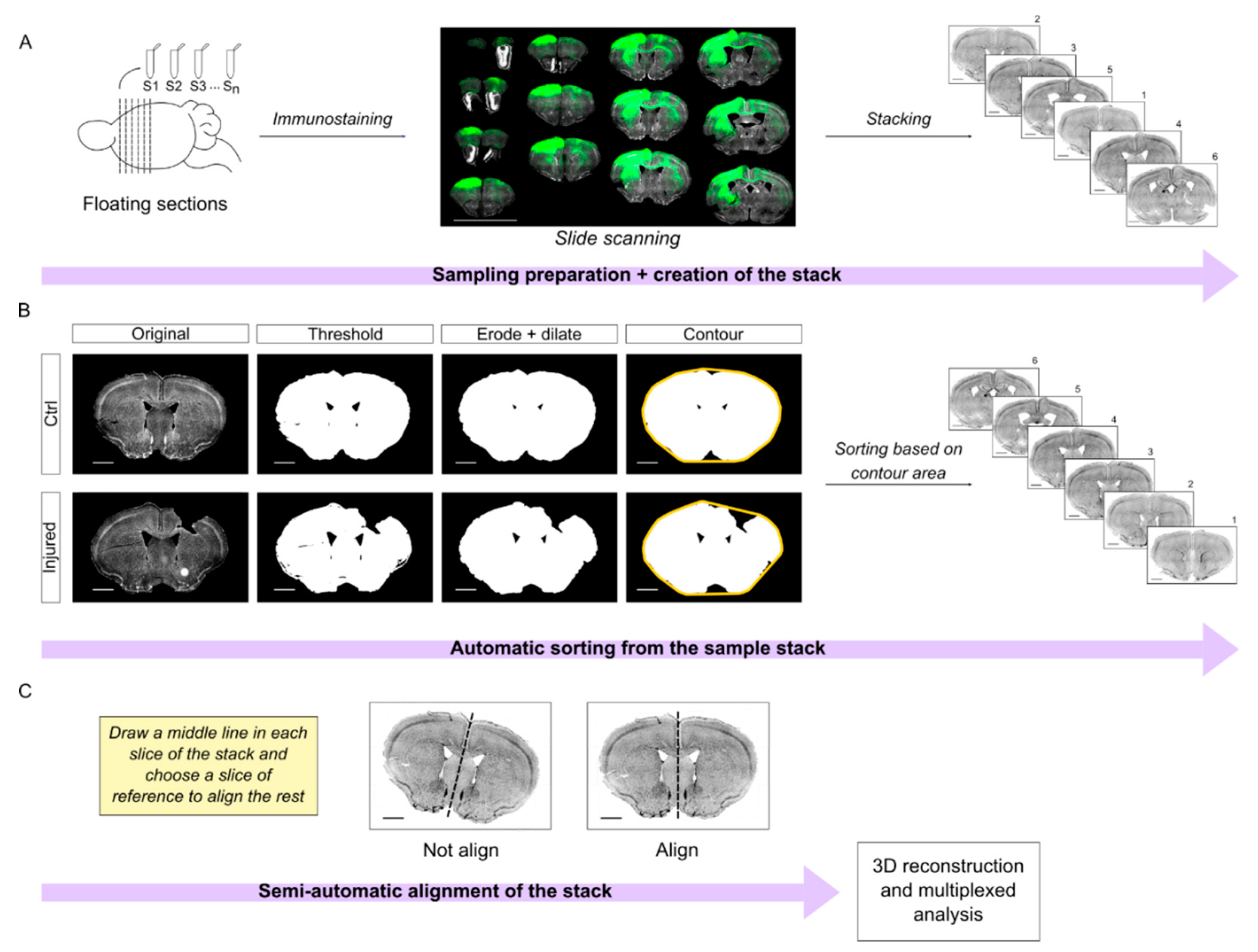 Ijms 23 08224 g006 550