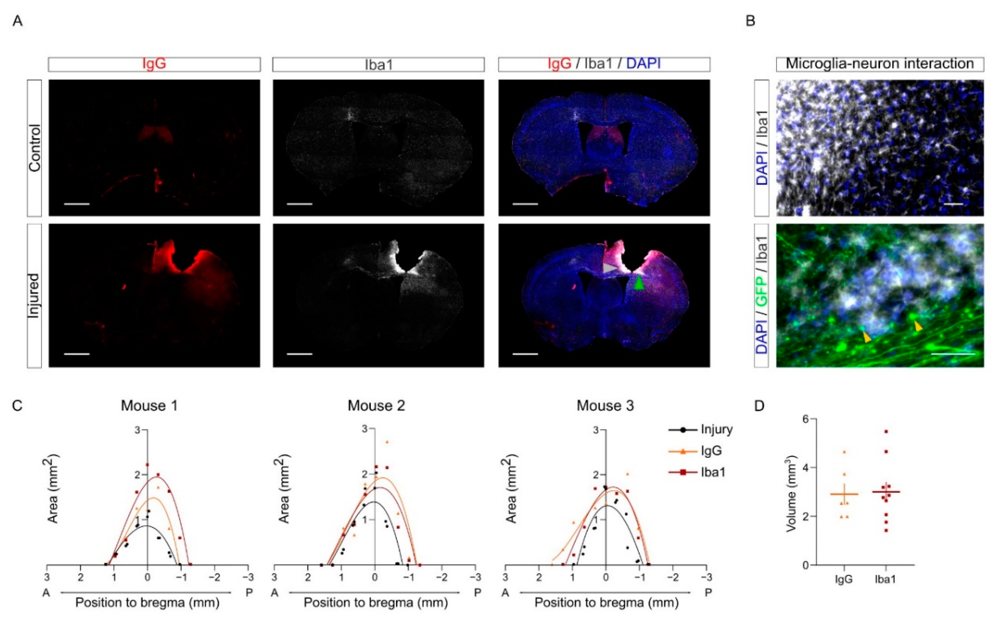 Ijms 23 08224 g007 550