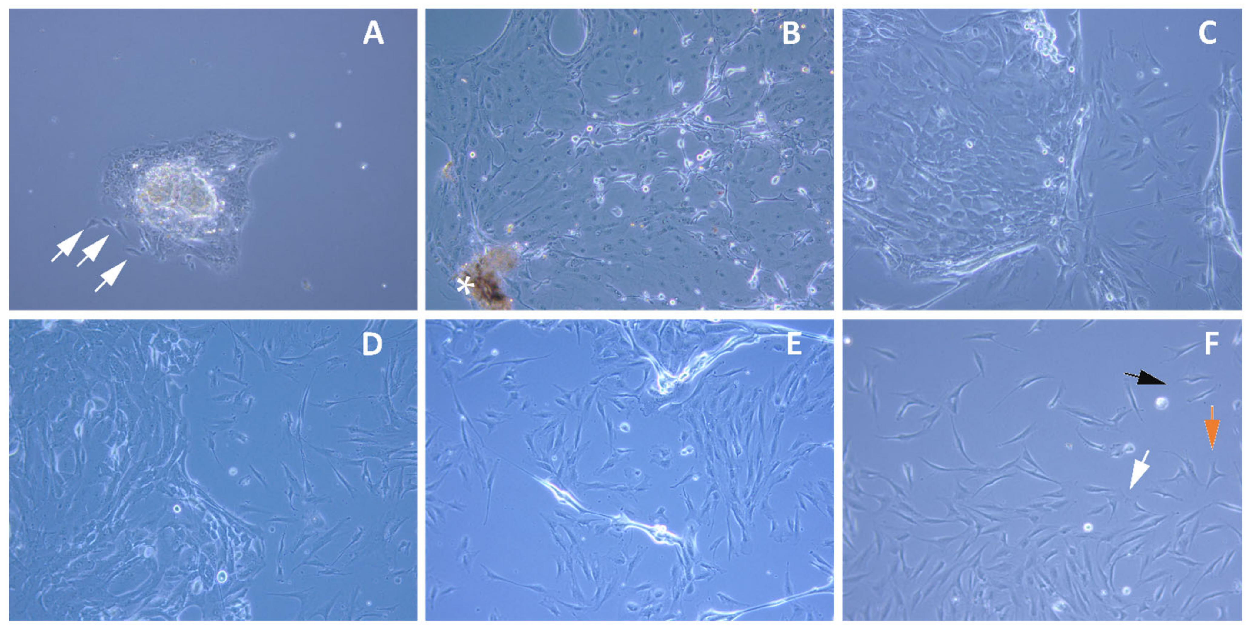 Ijms 23 08226 g001 550