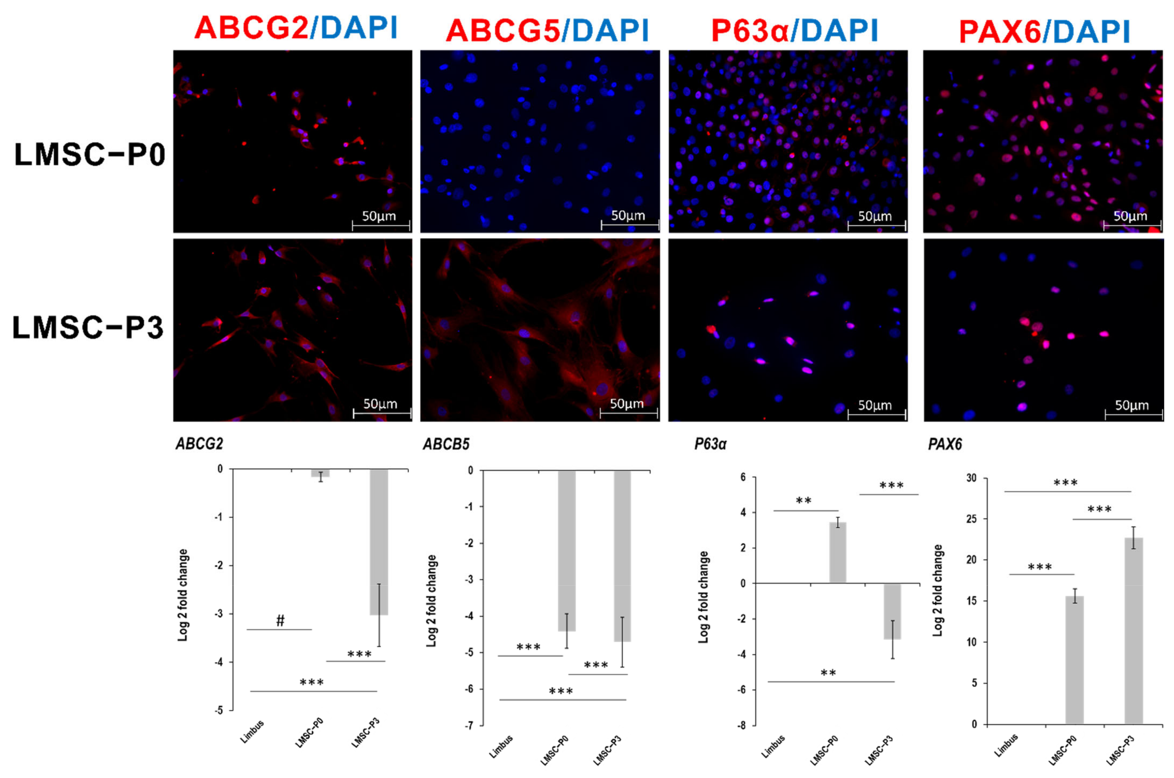 Ijms 23 08226 g002 550