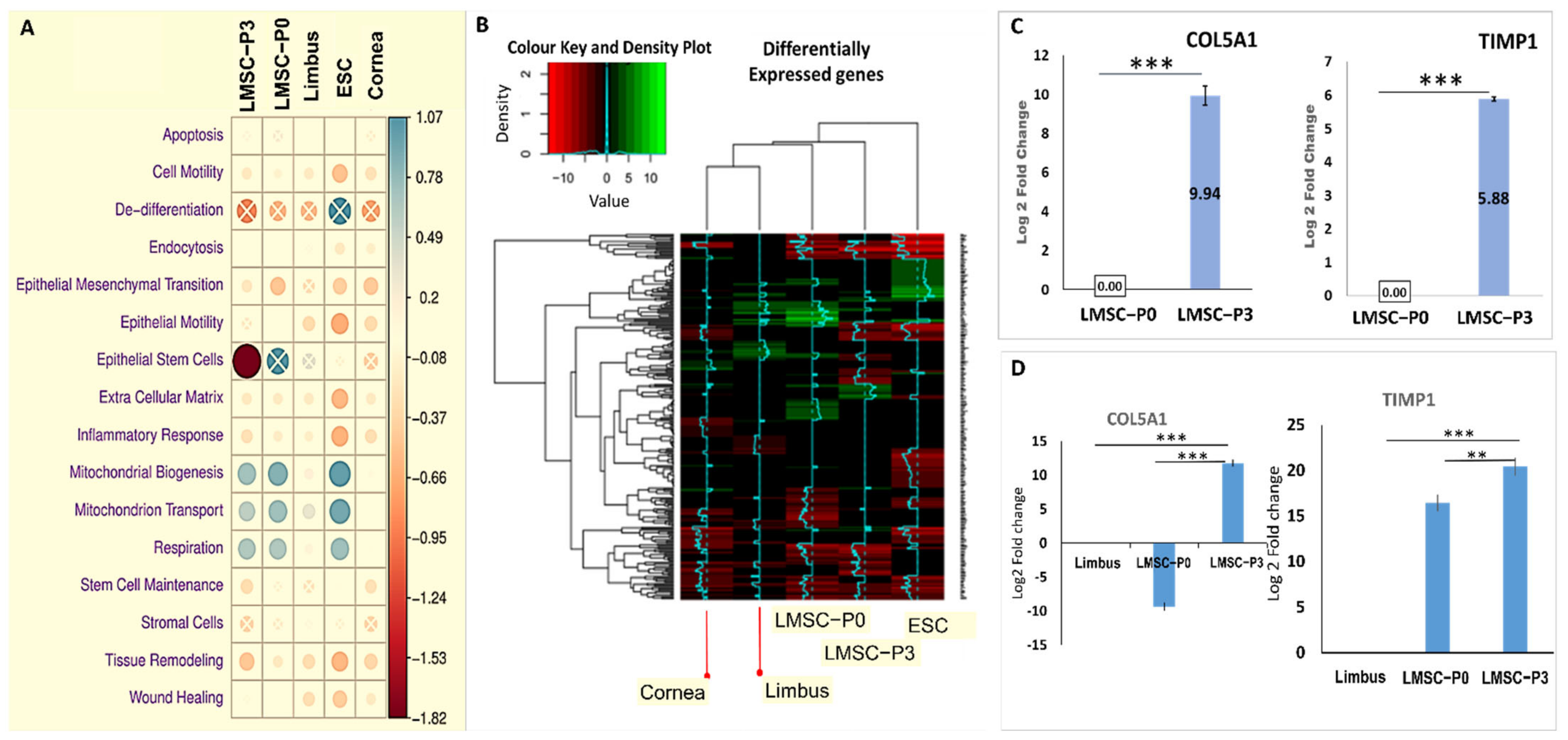Ijms 23 08226 g005 550
