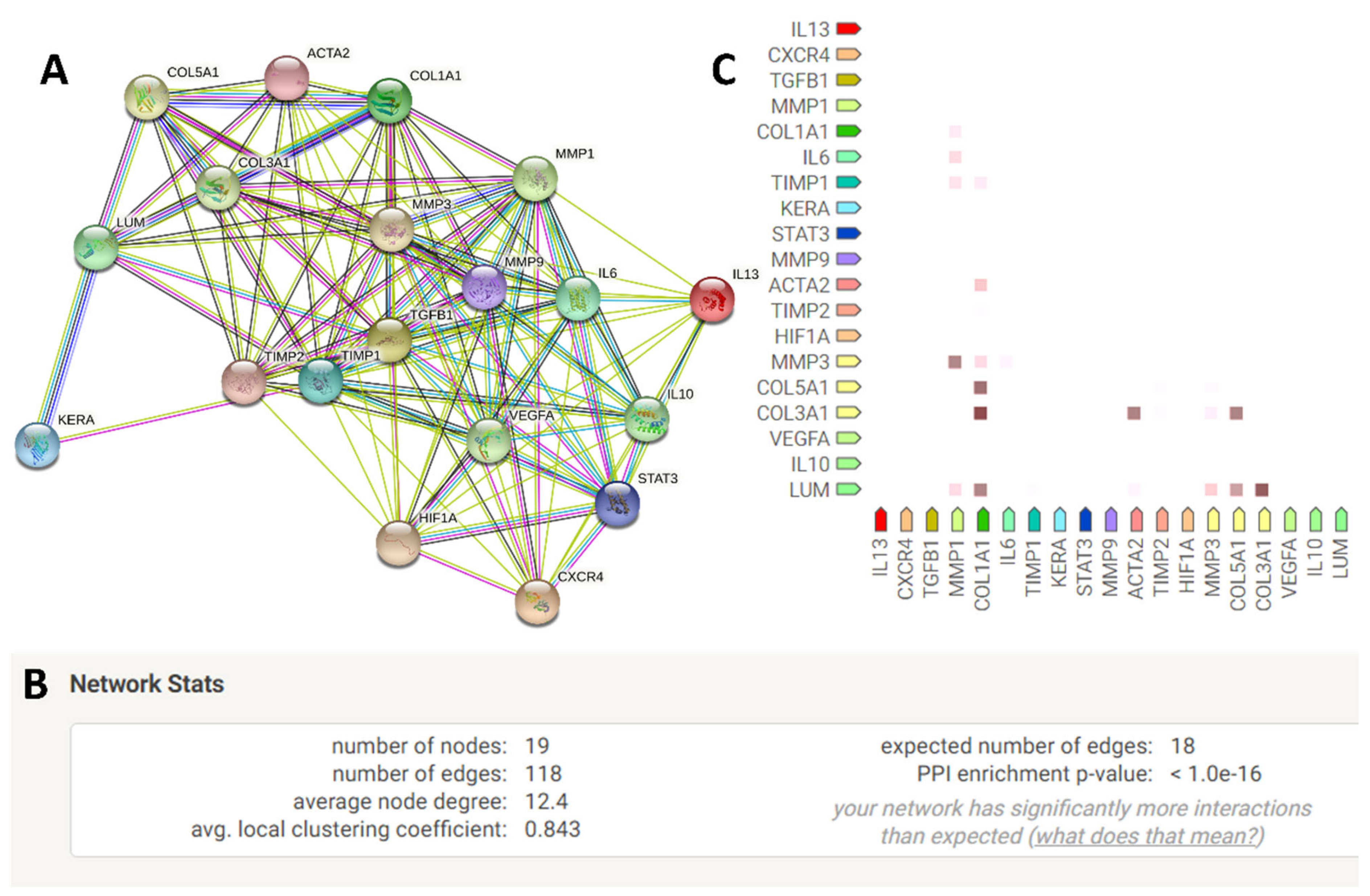 Ijms 23 08226 g006 550