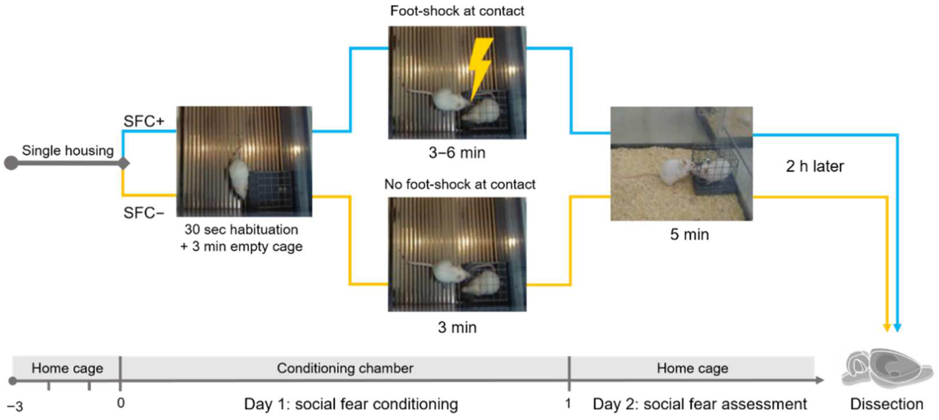 Ijms 23 08228 g001 Ijms 23 08228 g001