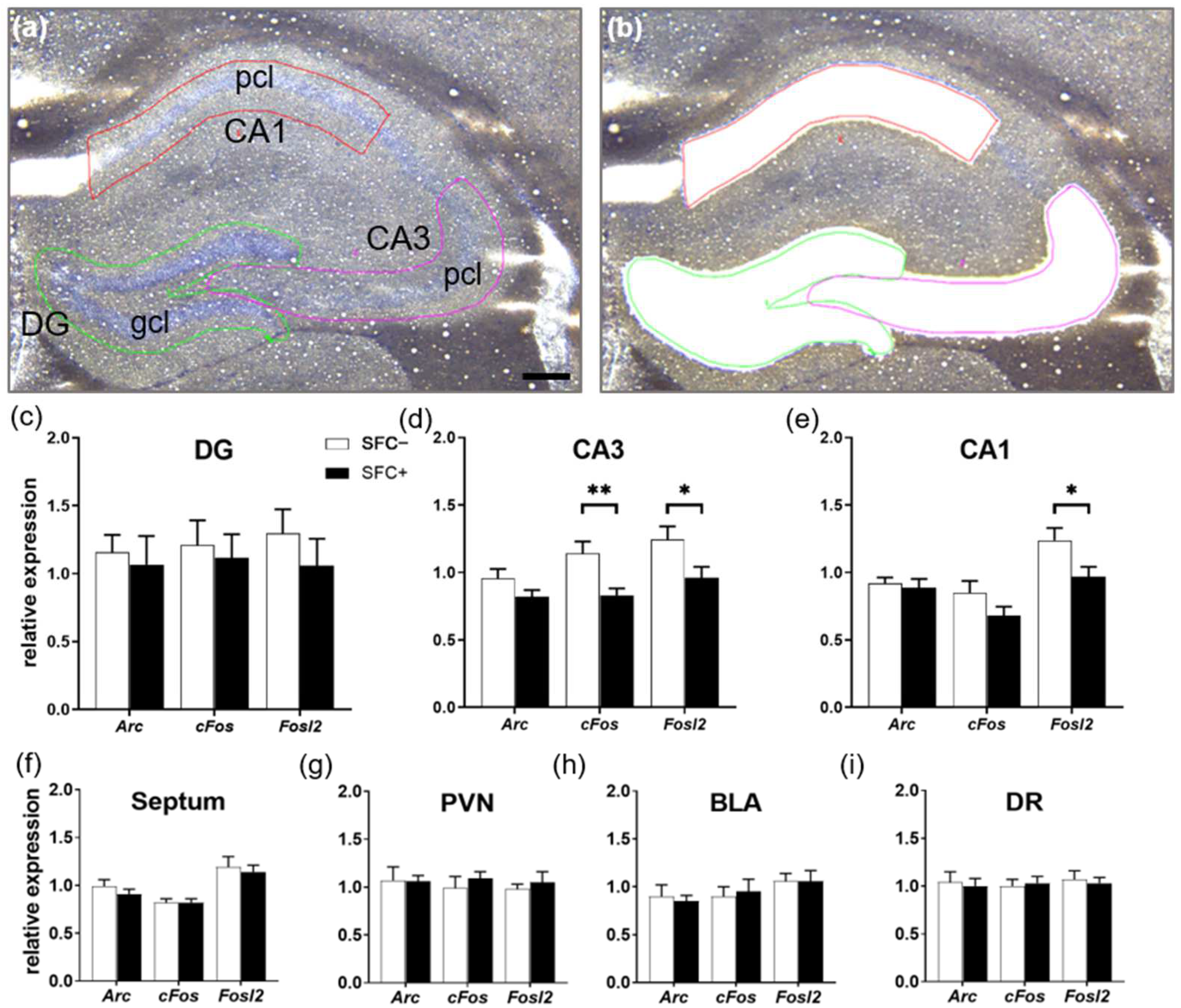 Ijms 23 08228 g004 Ijms 23 08228 g004