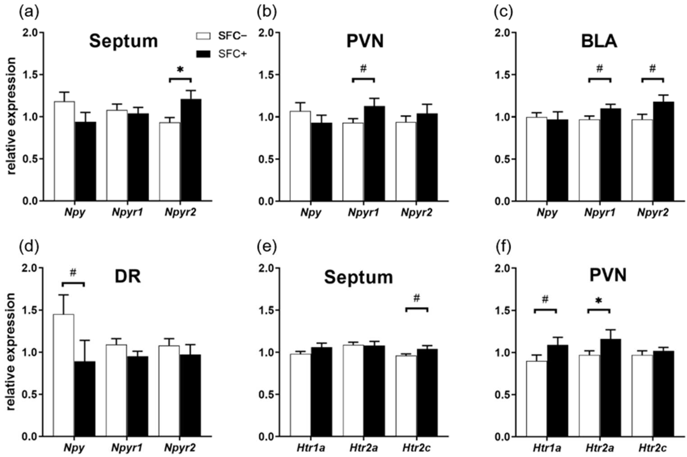 Ijms 23 08228 g005 Ijms 23 08228 g005