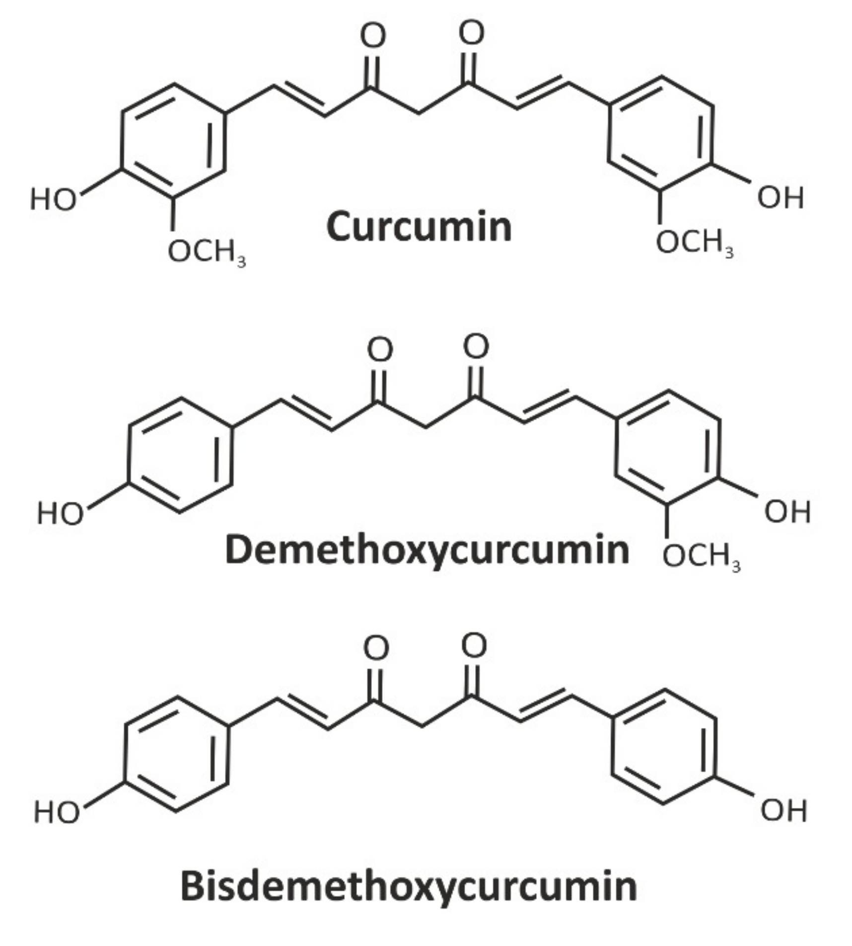 Ijms 23 08233 g013 Ijms 23 08233 g013