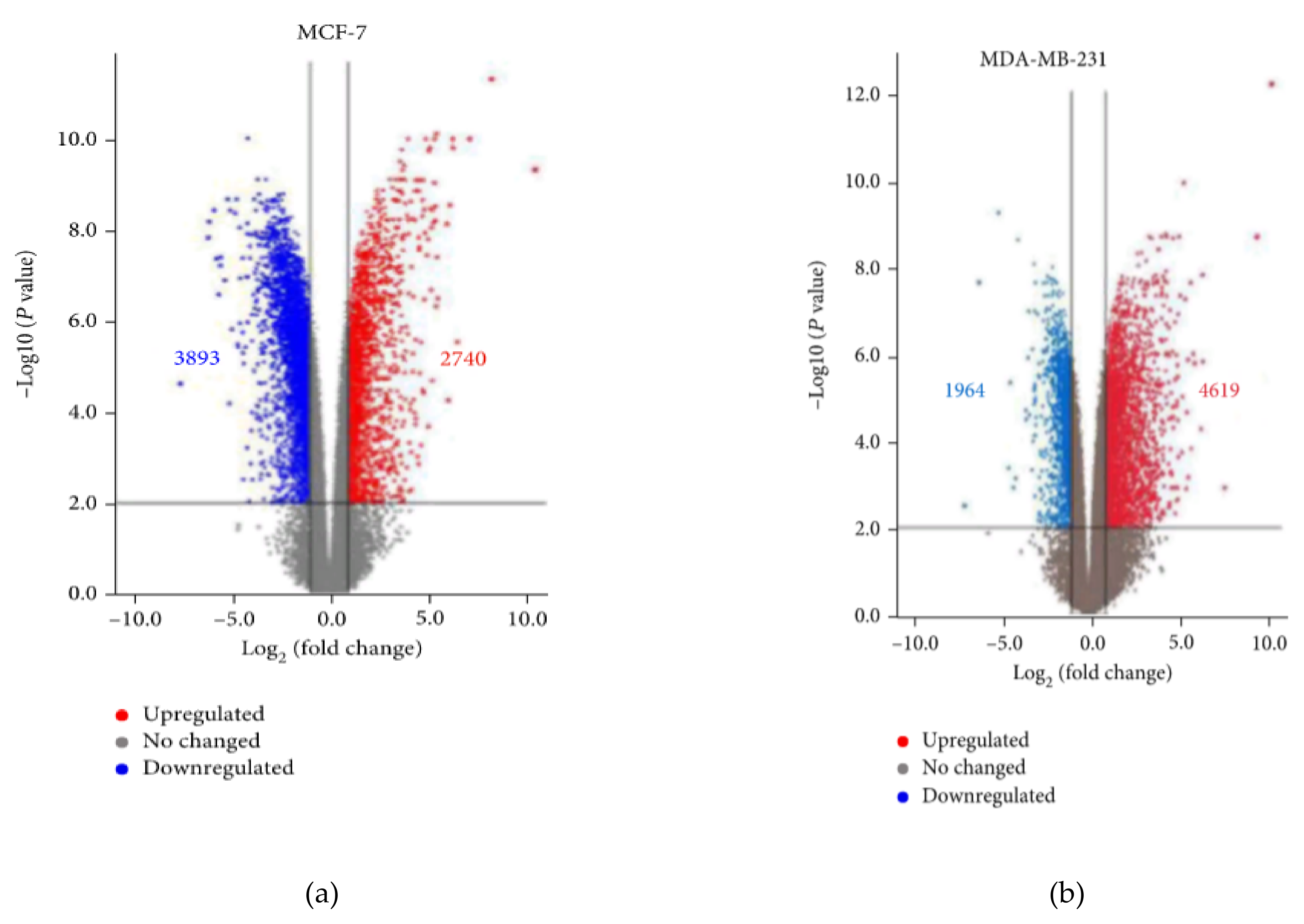 Ijms 23 08233 g014 Ijms 23 08233 g014