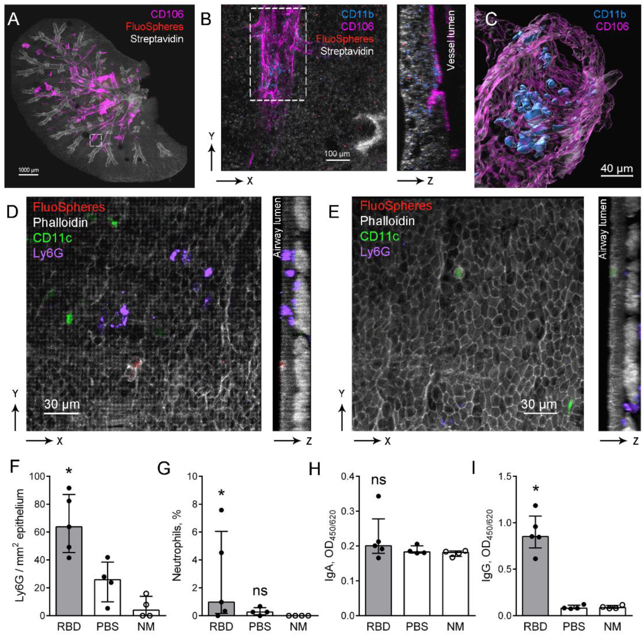 Ijms 23 08234 g003 550