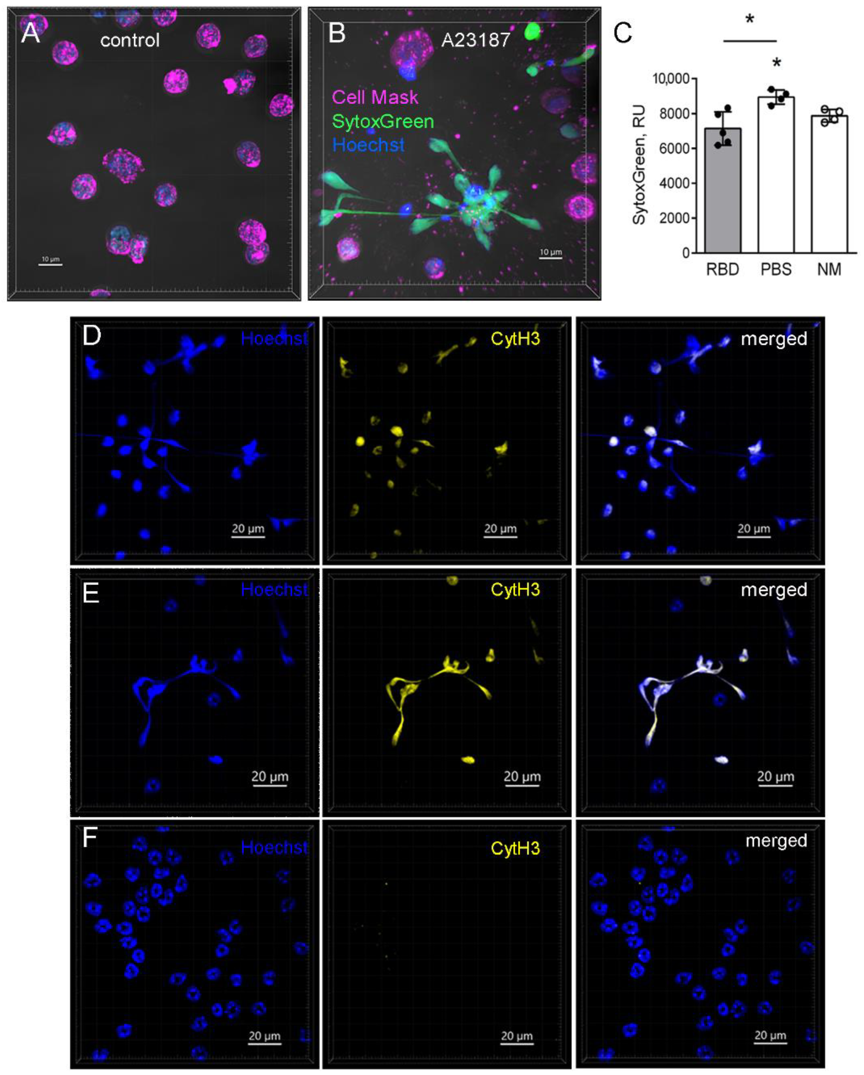 Ijms 23 08234 g005 550