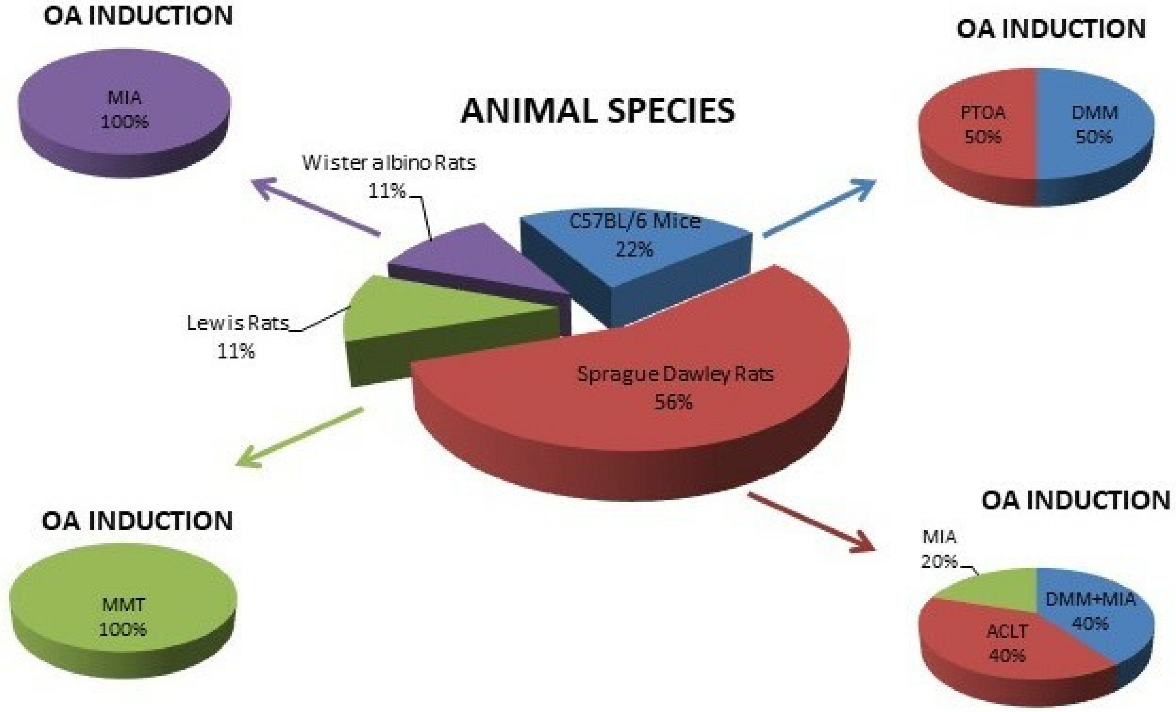 Ijms 23 08236 g004 Ijms 23 08236 g004