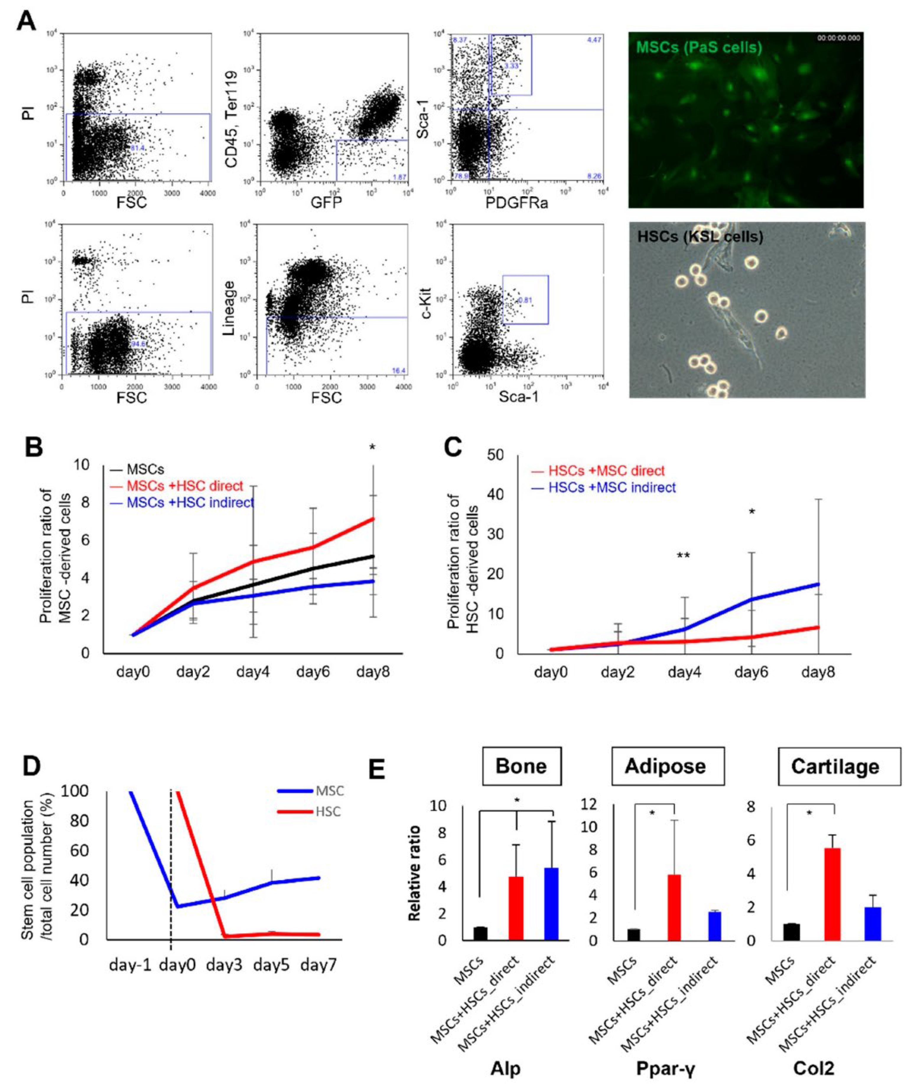 Ijms 23 08238 g002 550