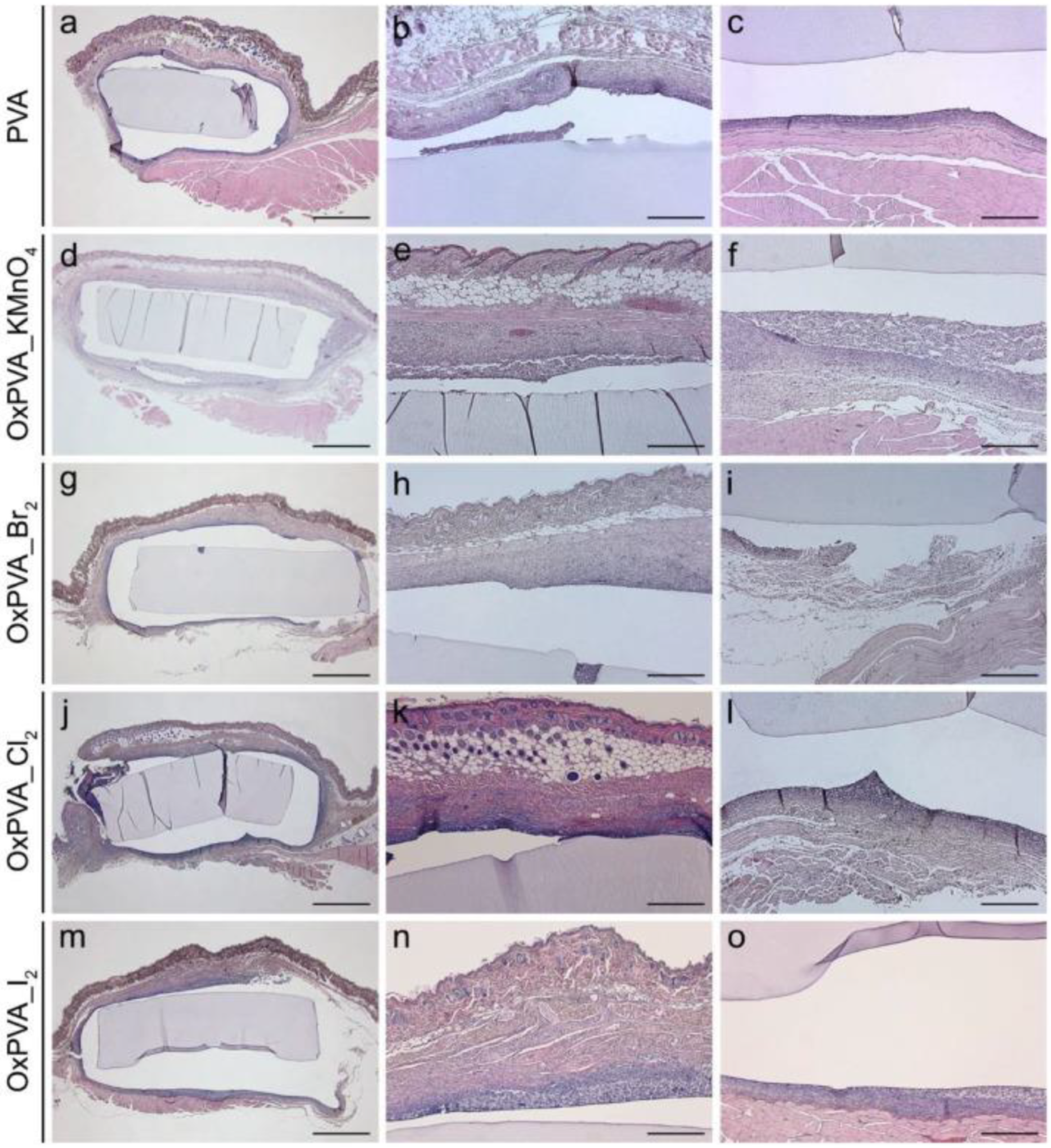 Ijms 23 08245 g001 Ijms 23 08245 g001